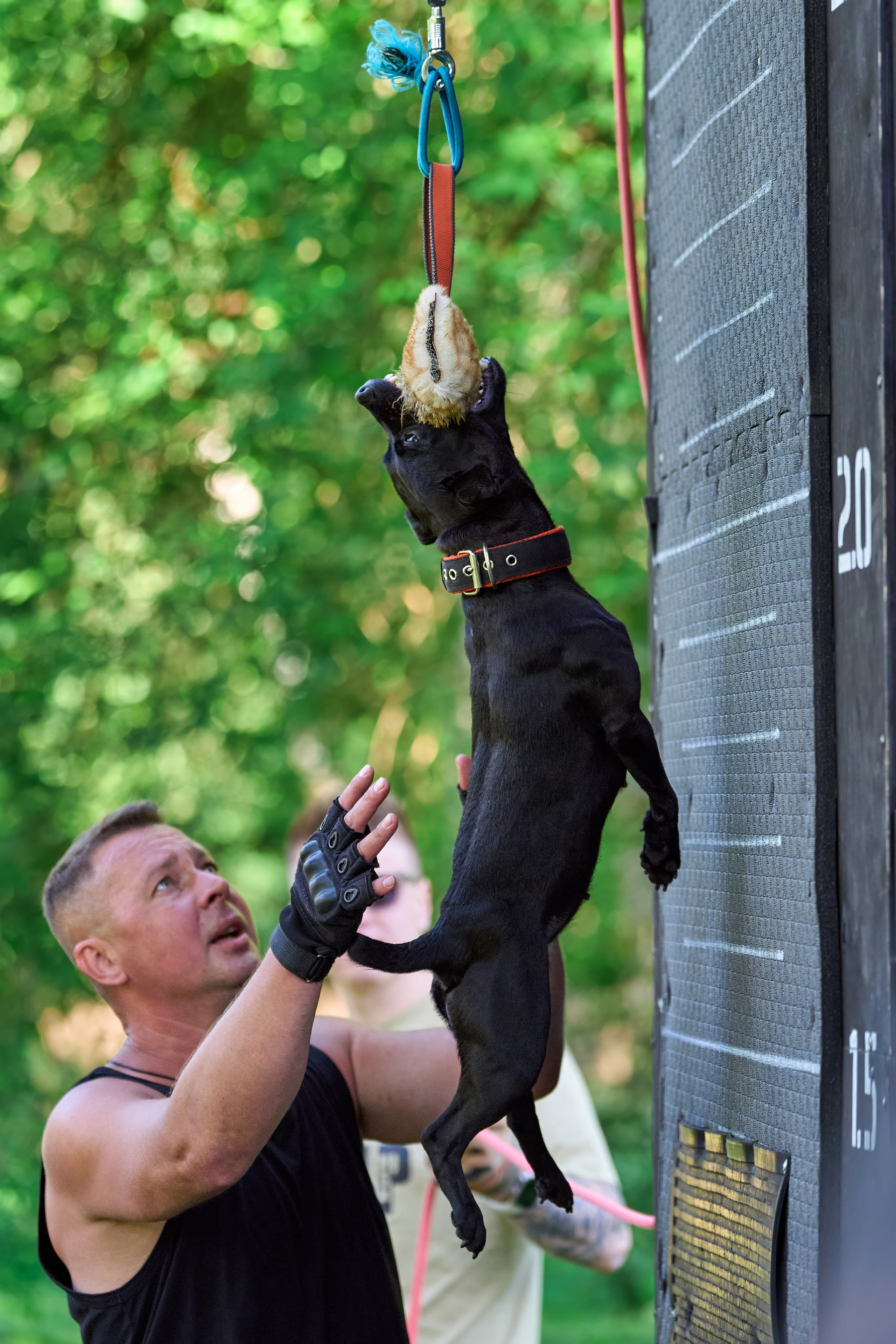 Двухдневные соревнования «Jump'n'Gym Fest — 2024». Фотограф-анималист Михаил Манухин