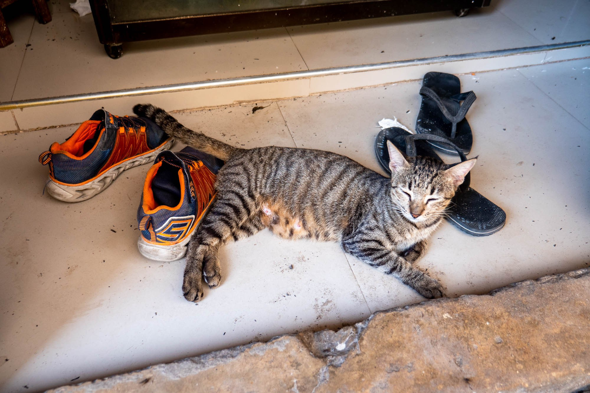 Остров Занзибар, г. Стоун Таун (Занзибар) Zanzibar Island, Stone Town (Zanzibar). Фотограф Алексей Скоробогатько