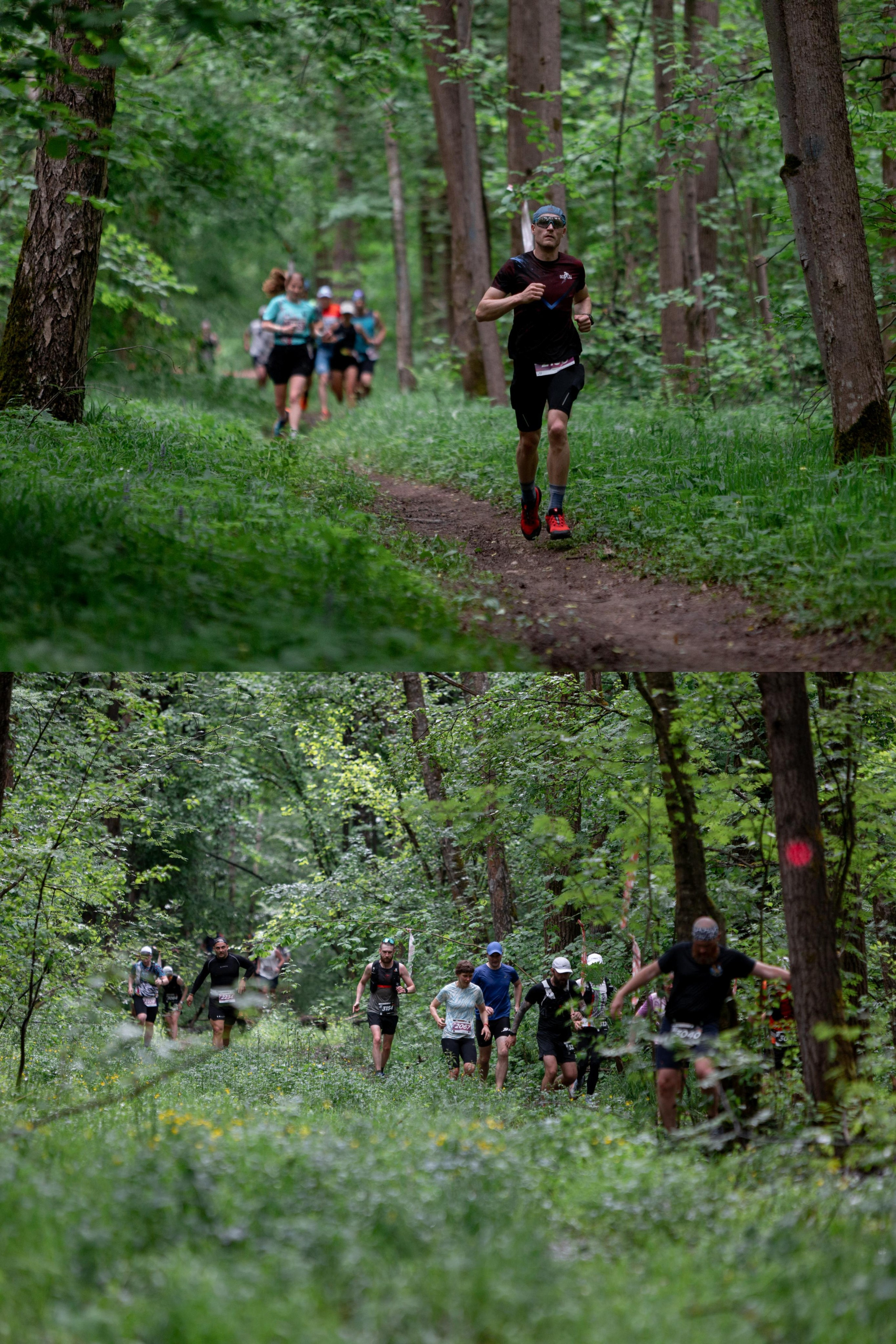 CityTrail Ромашково