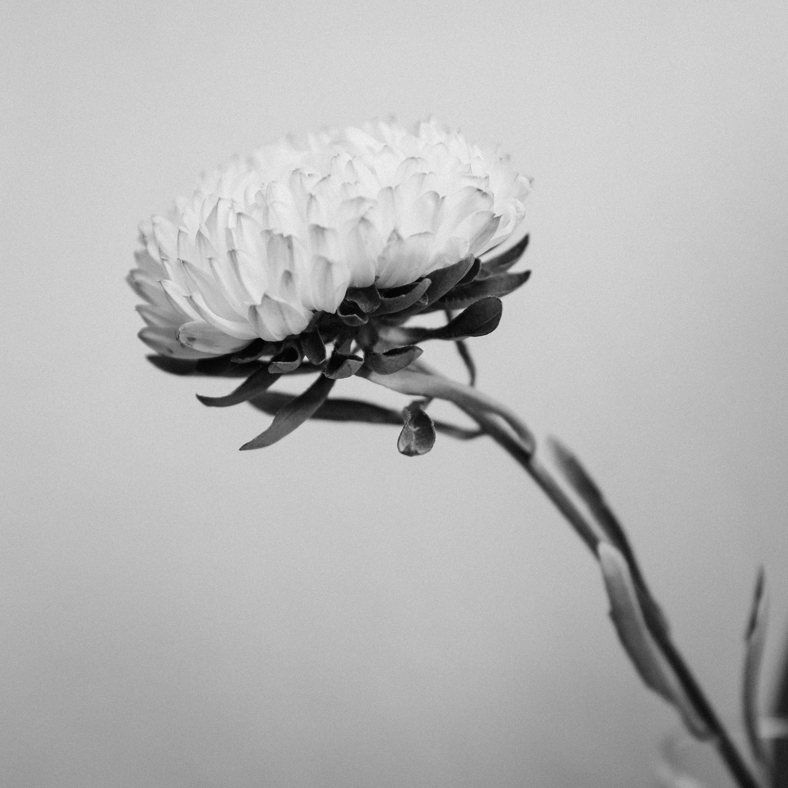 Фотограф в Москве — Анна Киселёва | портреты и тёплые истории