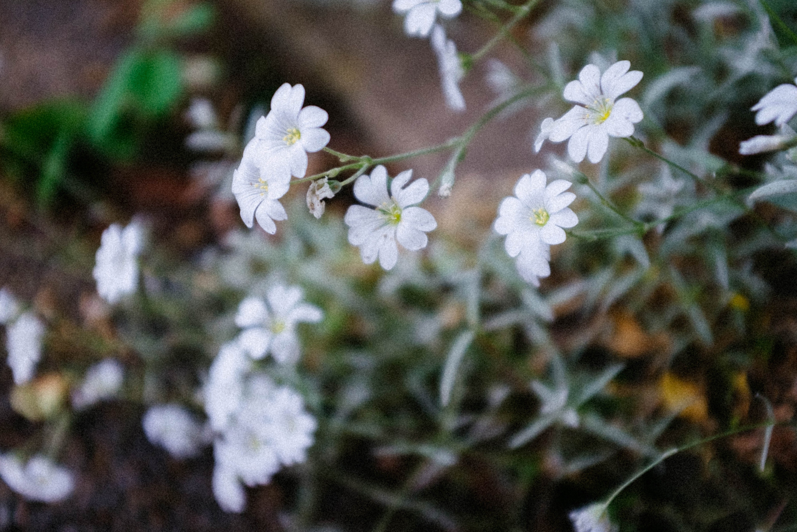 Фотограф в Москве — Анна Киселёва | портреты и тёплые истории