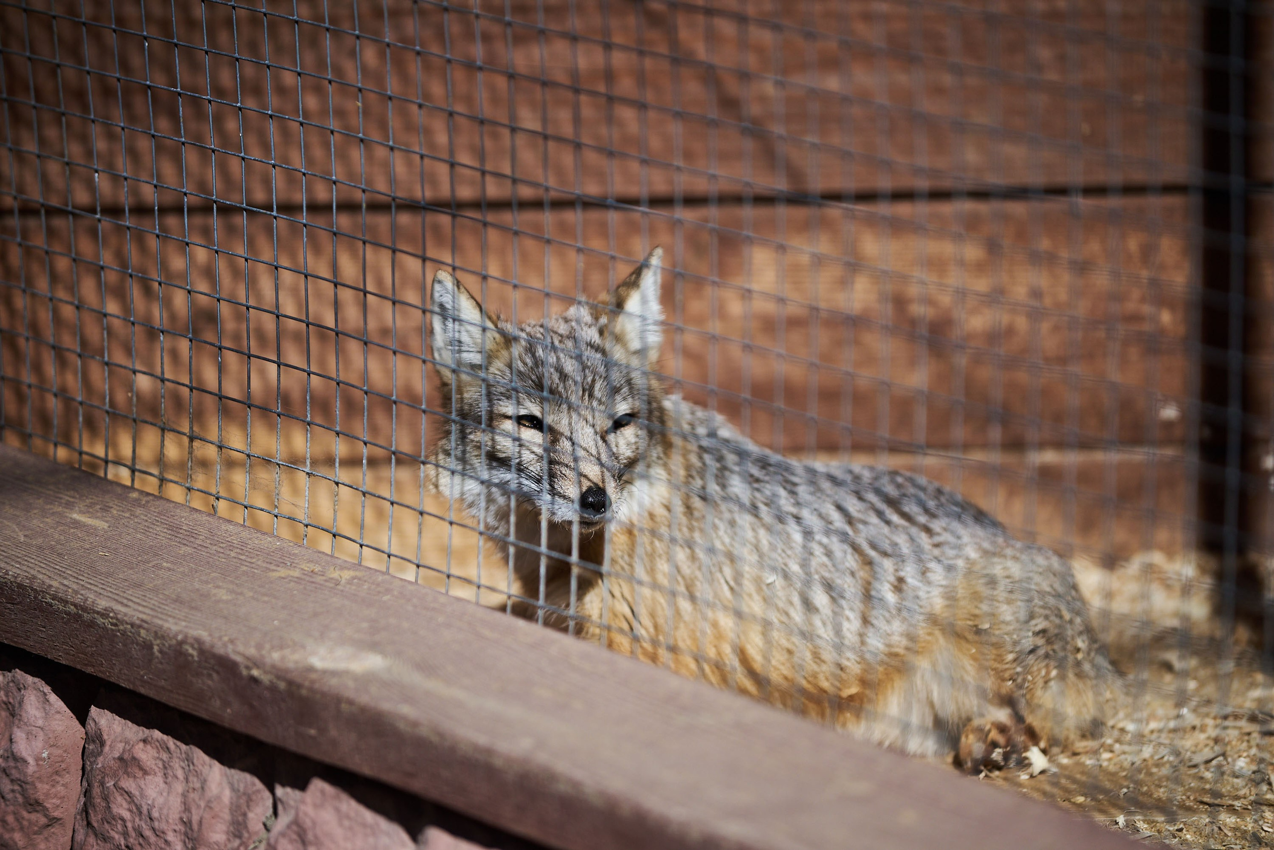 Зоопарк Иваново. Фотограф в Иваново: Каталожная съемка одежды и постельного белья, Wildberries