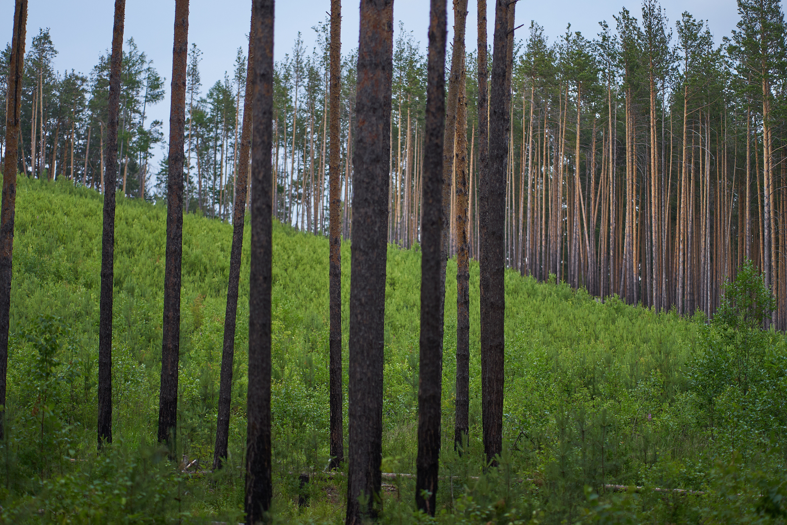 Мартьяновы старшие у Чертова Городища. Семейный фотограф. Путешествующий фотограф в Екатеринбурге Евгений Вор