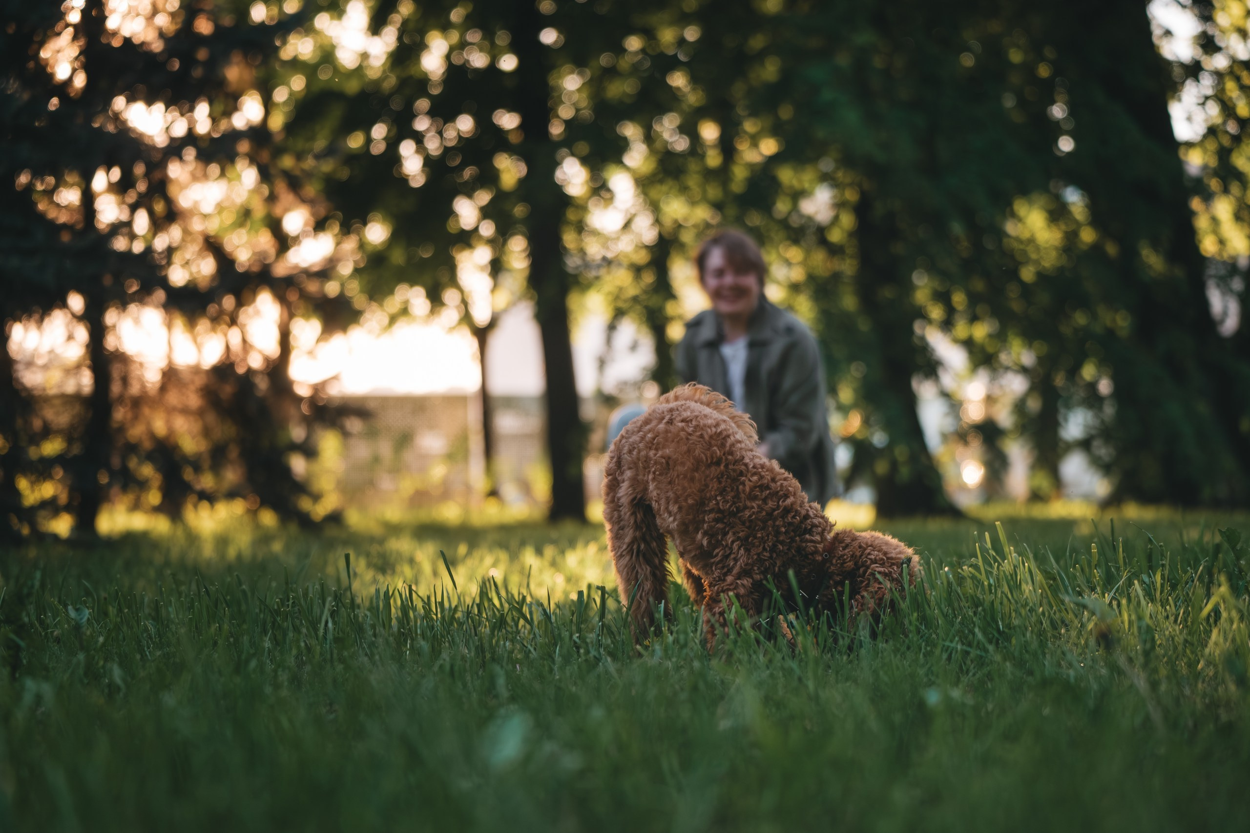 Фотограф Анималист в Москве Анастасия Жучкова