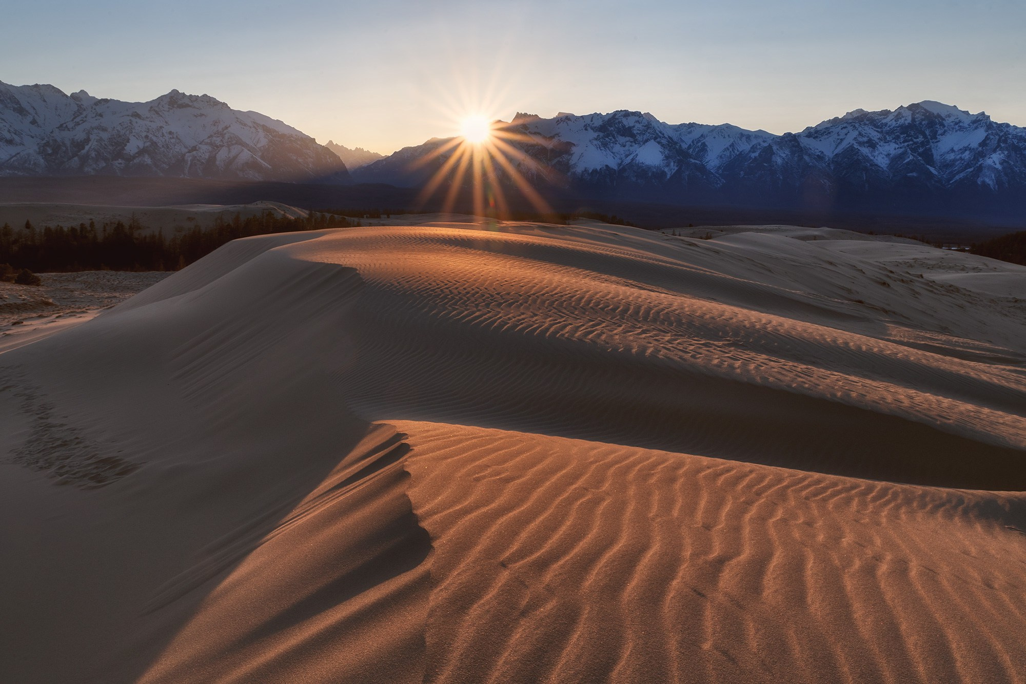 Чарские пески. Май 2026