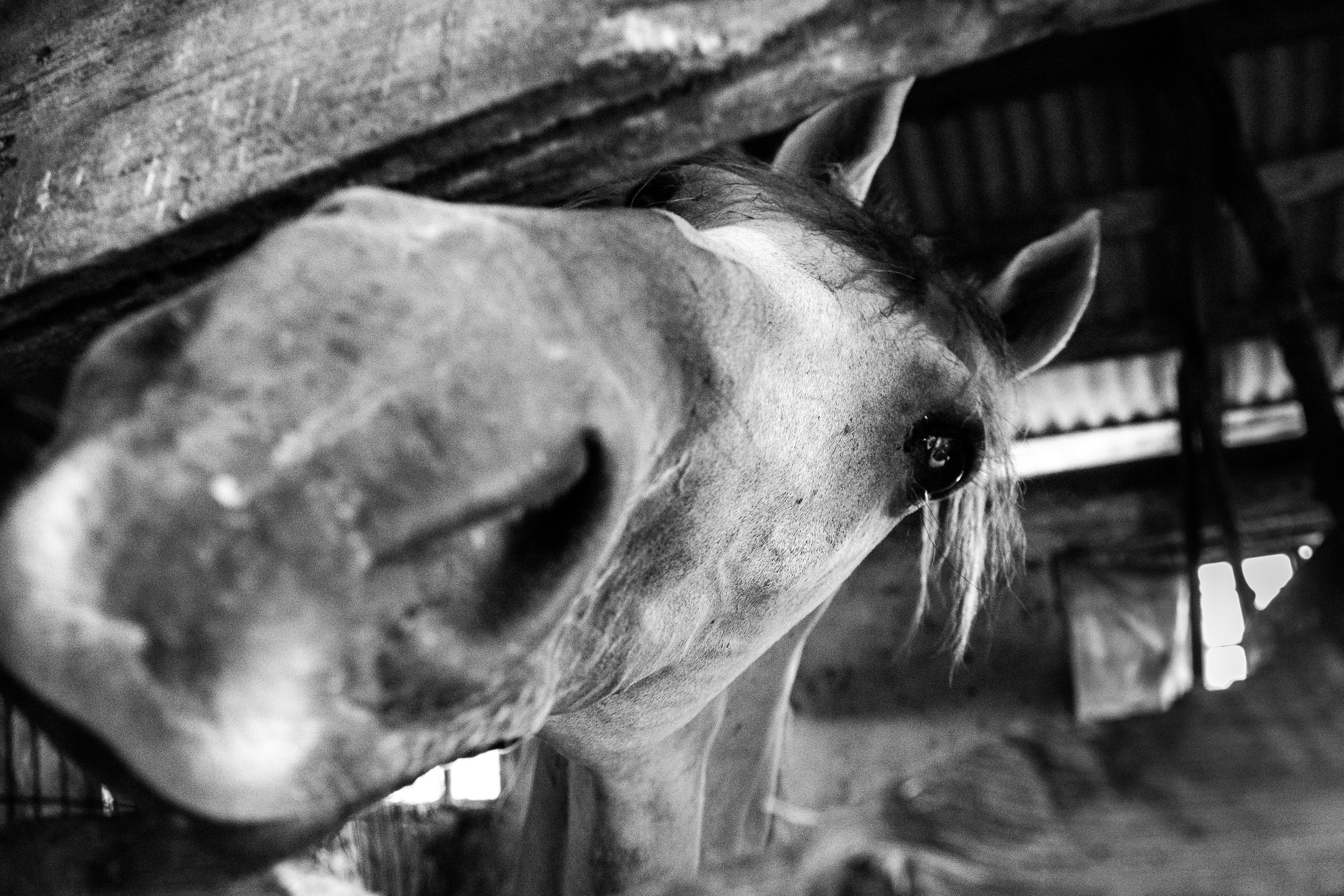 Татьяна Корчагина. Фотограф, художник. Обучение фотографии