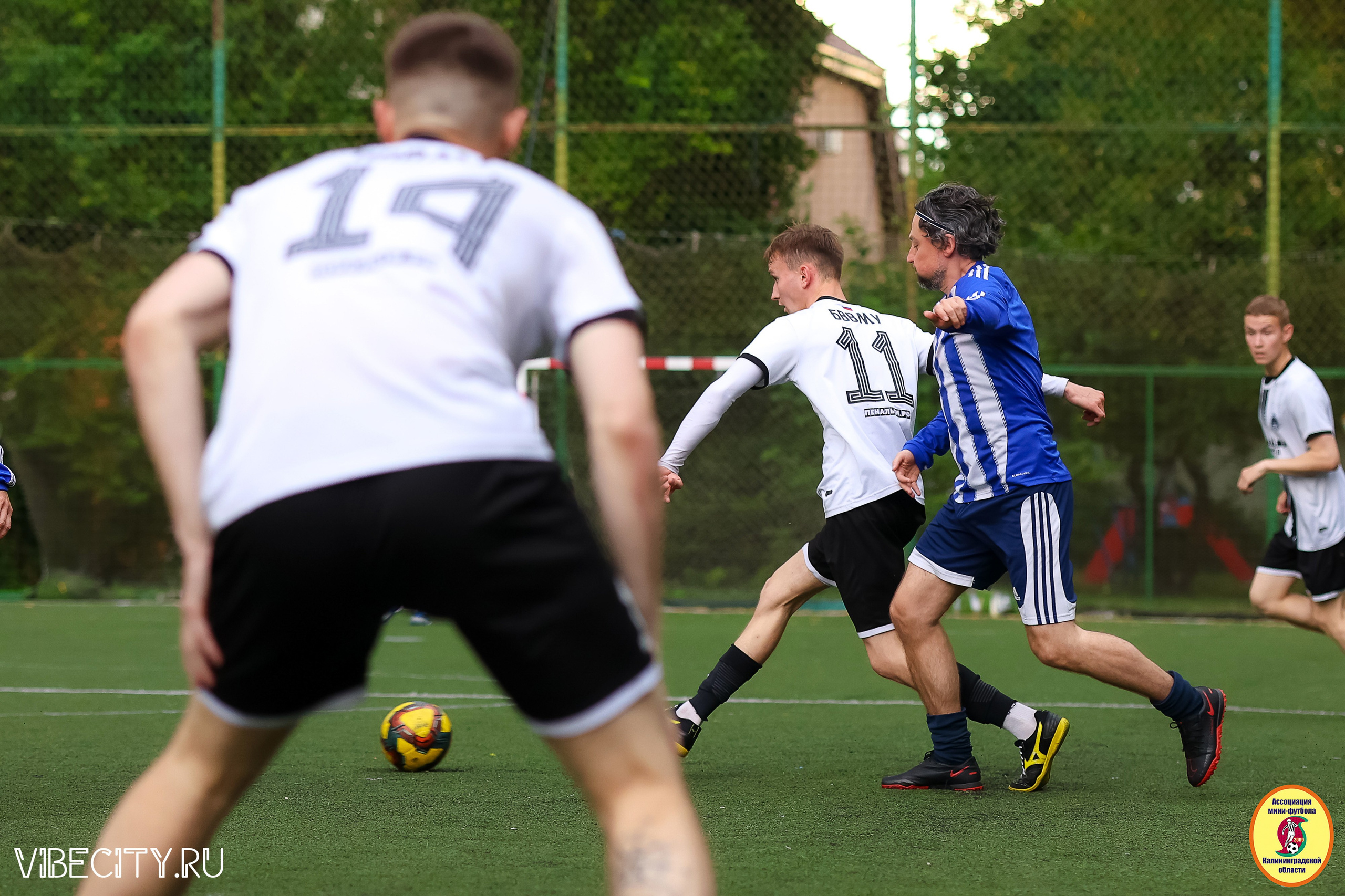 ИГРЫ МИНИ-ФУТБОЛЬНОЙ И КОРПОРАТИВНОЙ ЛИГИ. VIBECITY.RU Вайб Сити Ру Фоторепортажи Фотоотчеты Калининград