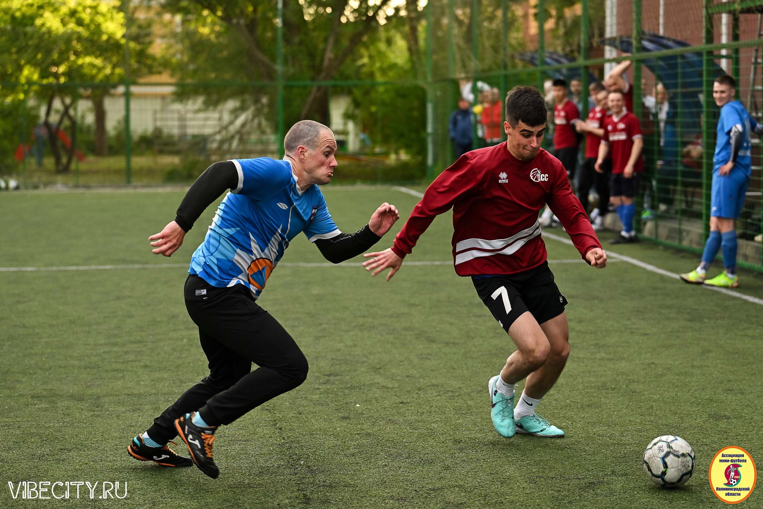 ИГРЫ МИНИ-ФУТБОЛЬНОЙ ЛИГИ. VIBECITY.RU Вайб Сити Ру Фоторепортажи Фотоотчеты Калининград