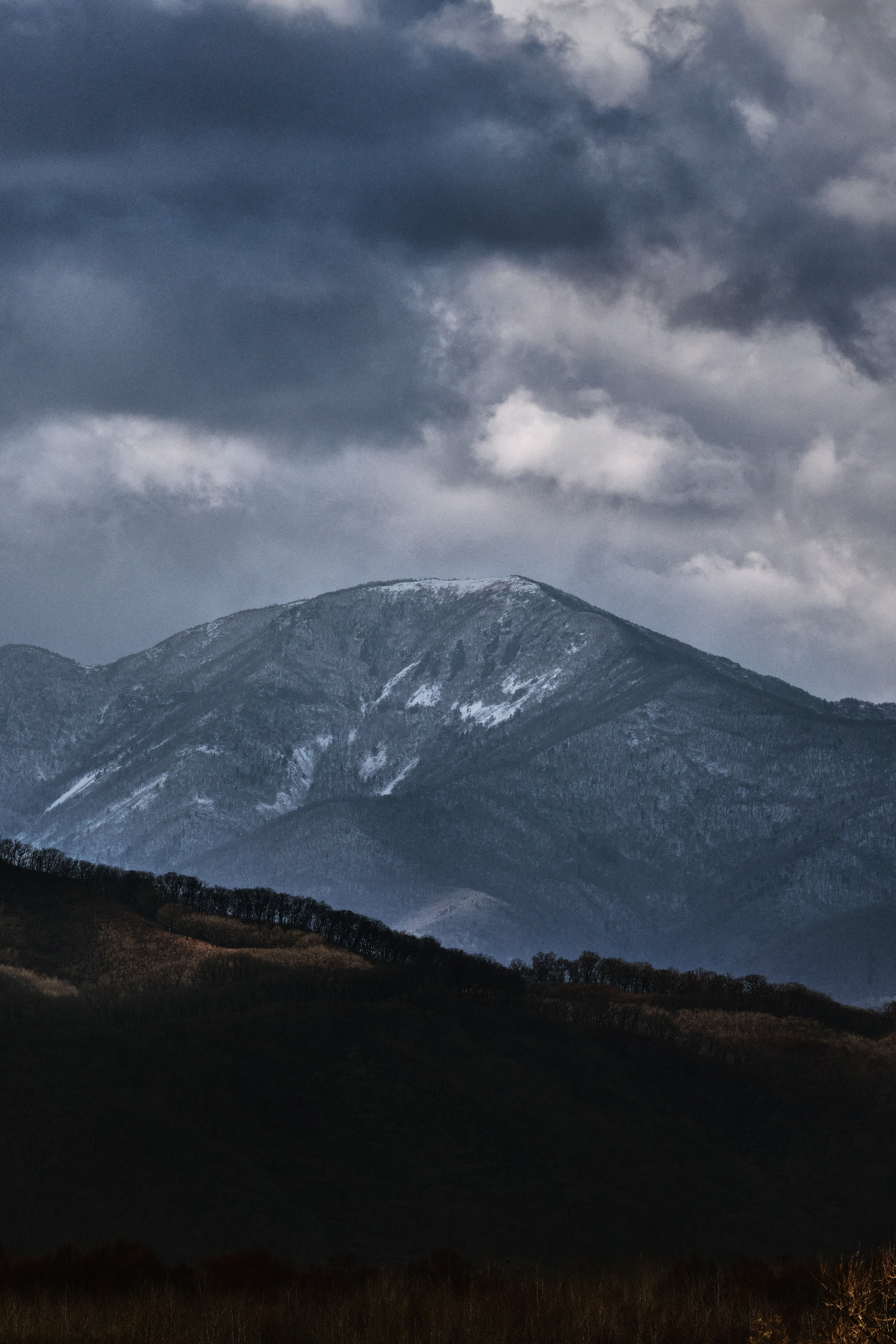 Manufacturer Profile в Capture One