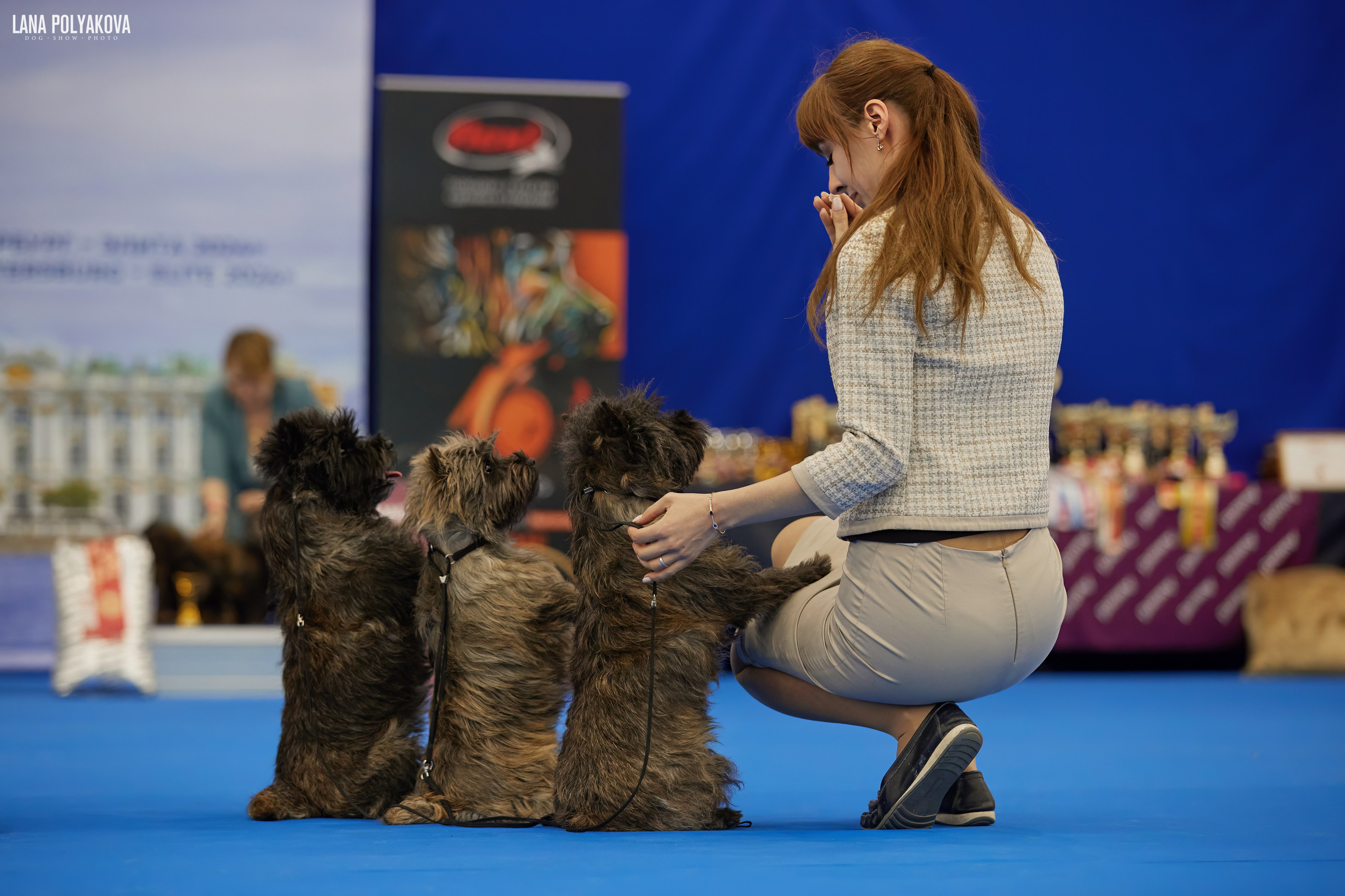 NDS GRAND PRIX «SPRING PETERSBURG 2024» «ELITE-PETERSBURG 2024». ФОТОГРАФ-АНИМАЛИСТ l LANA POLYAKOVA