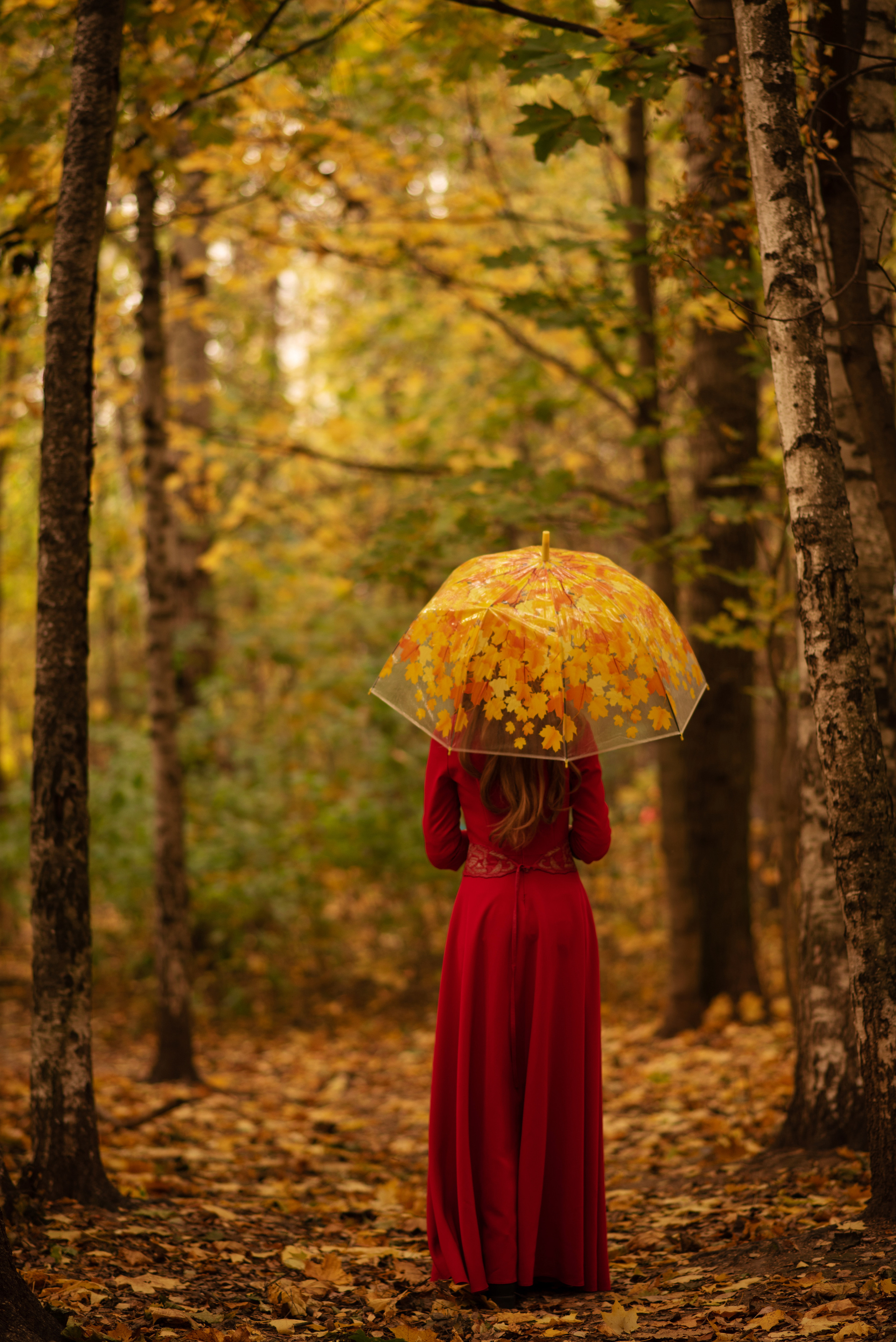 Осень прекрасна. Анна Боровикова, фотограф Пушкино