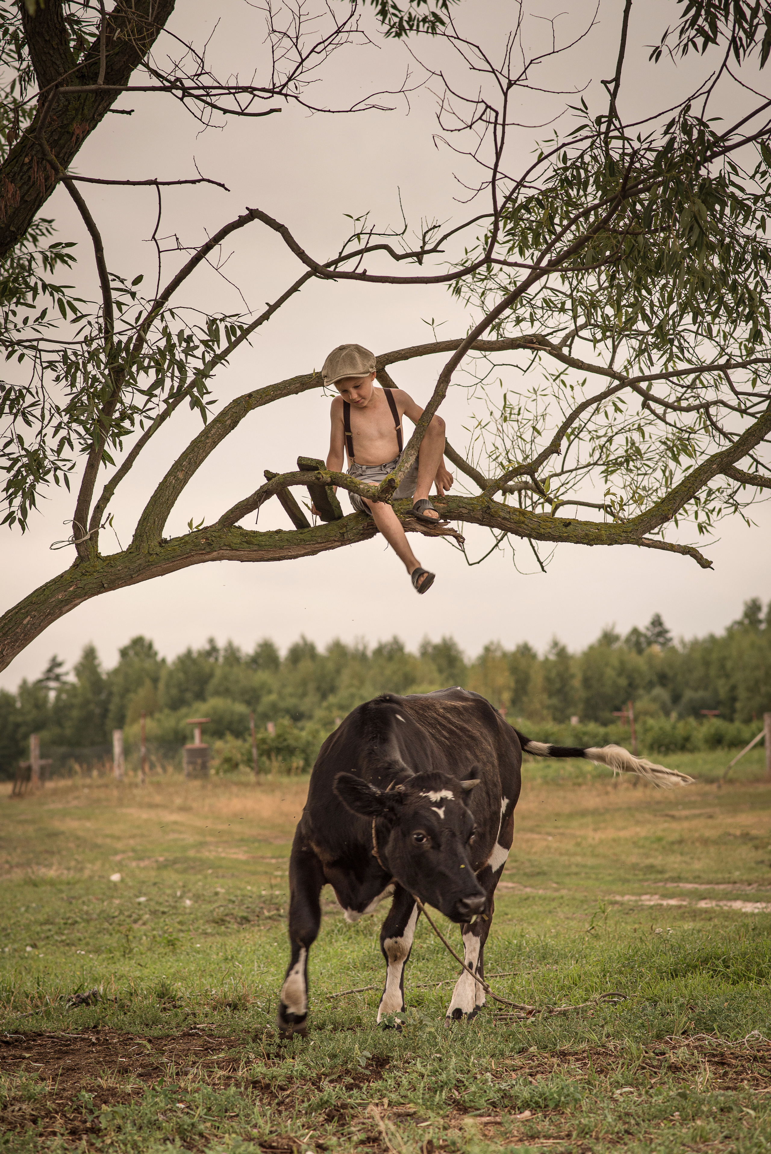 Хорошо летом в деревне!. Анна Боровикова, фотограф Пушкино