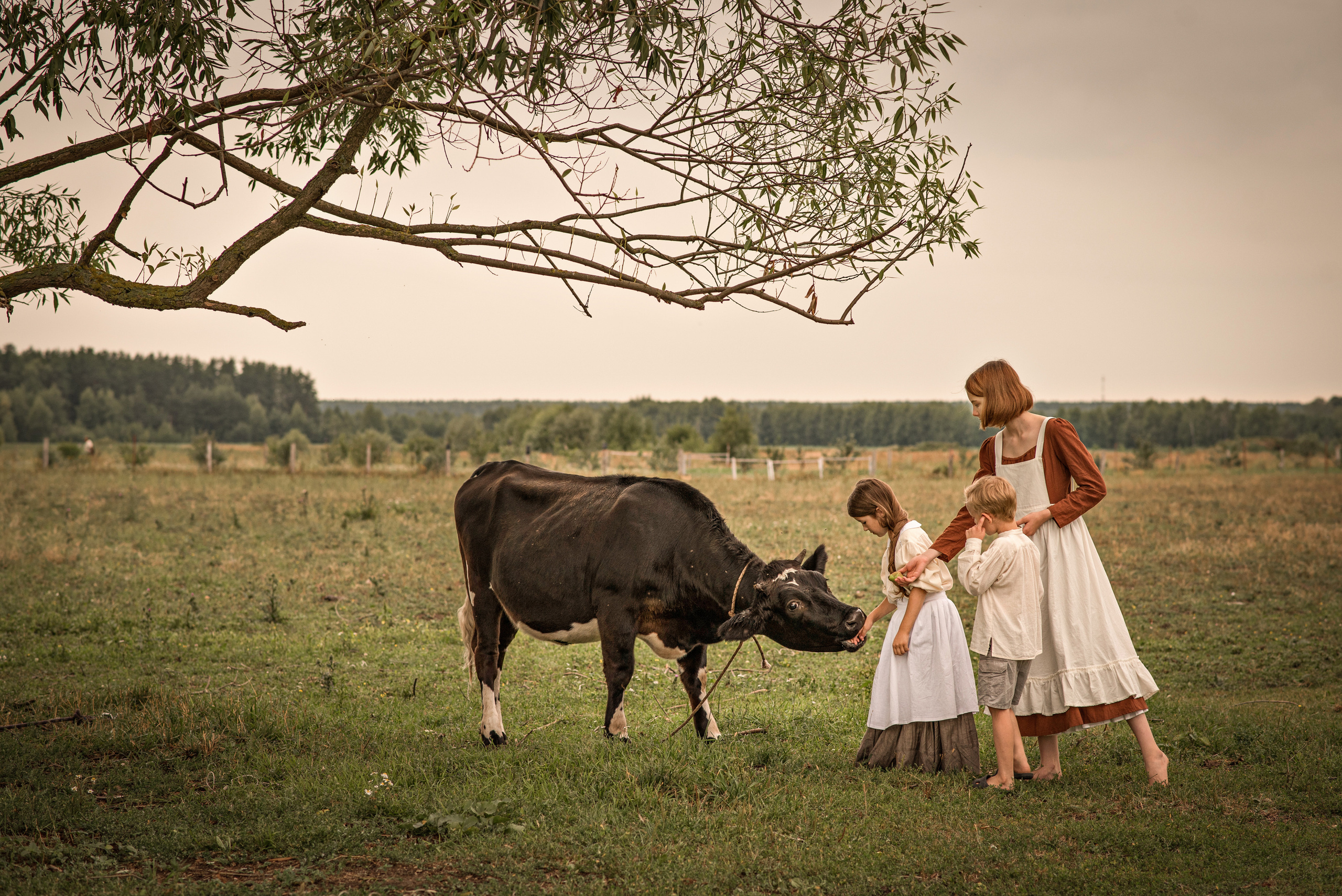 Хорошо летом в деревне!. Анна Боровикова, фотограф Пушкино