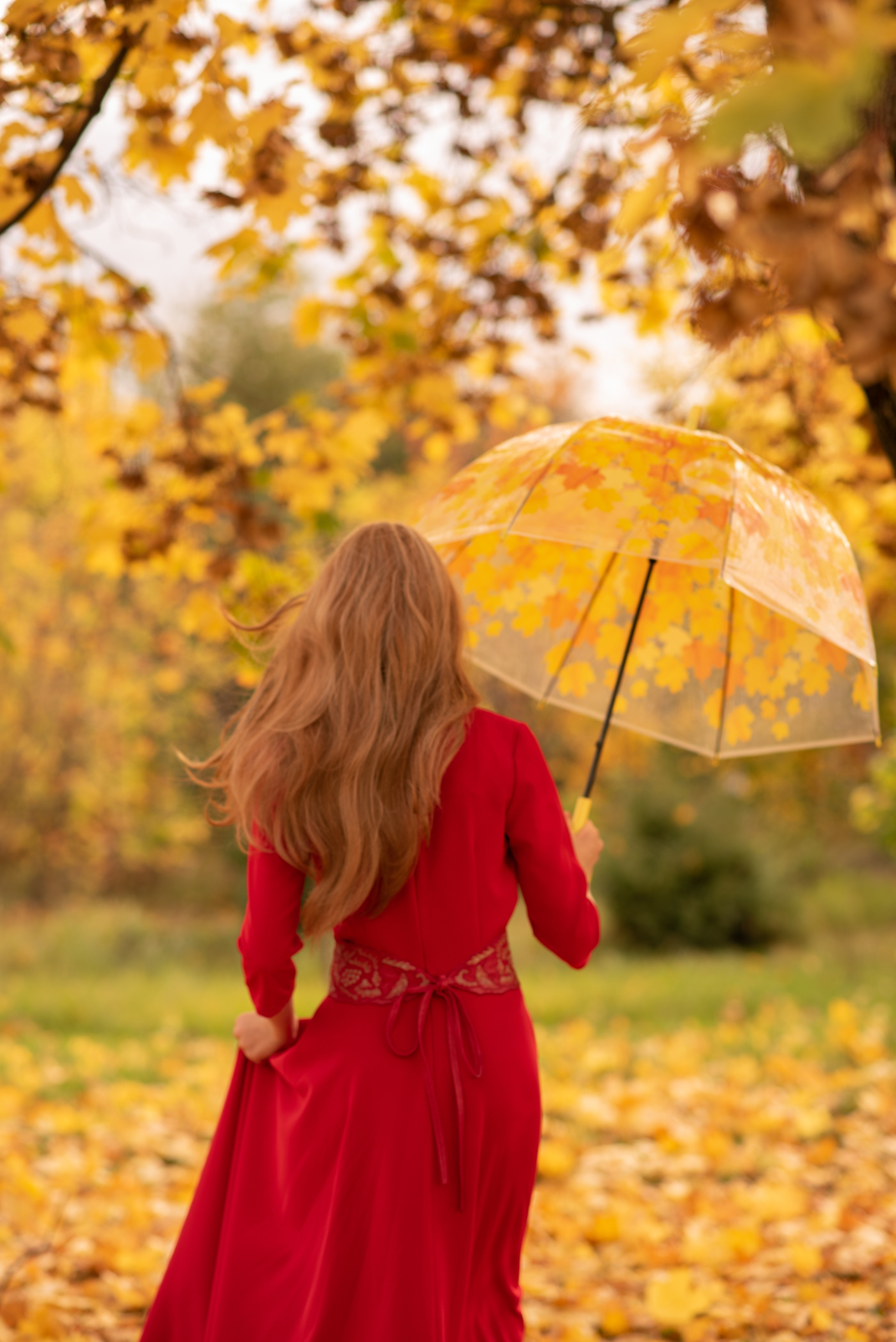 Осень прекрасна. Анна Боровикова, фотограф Пушкино