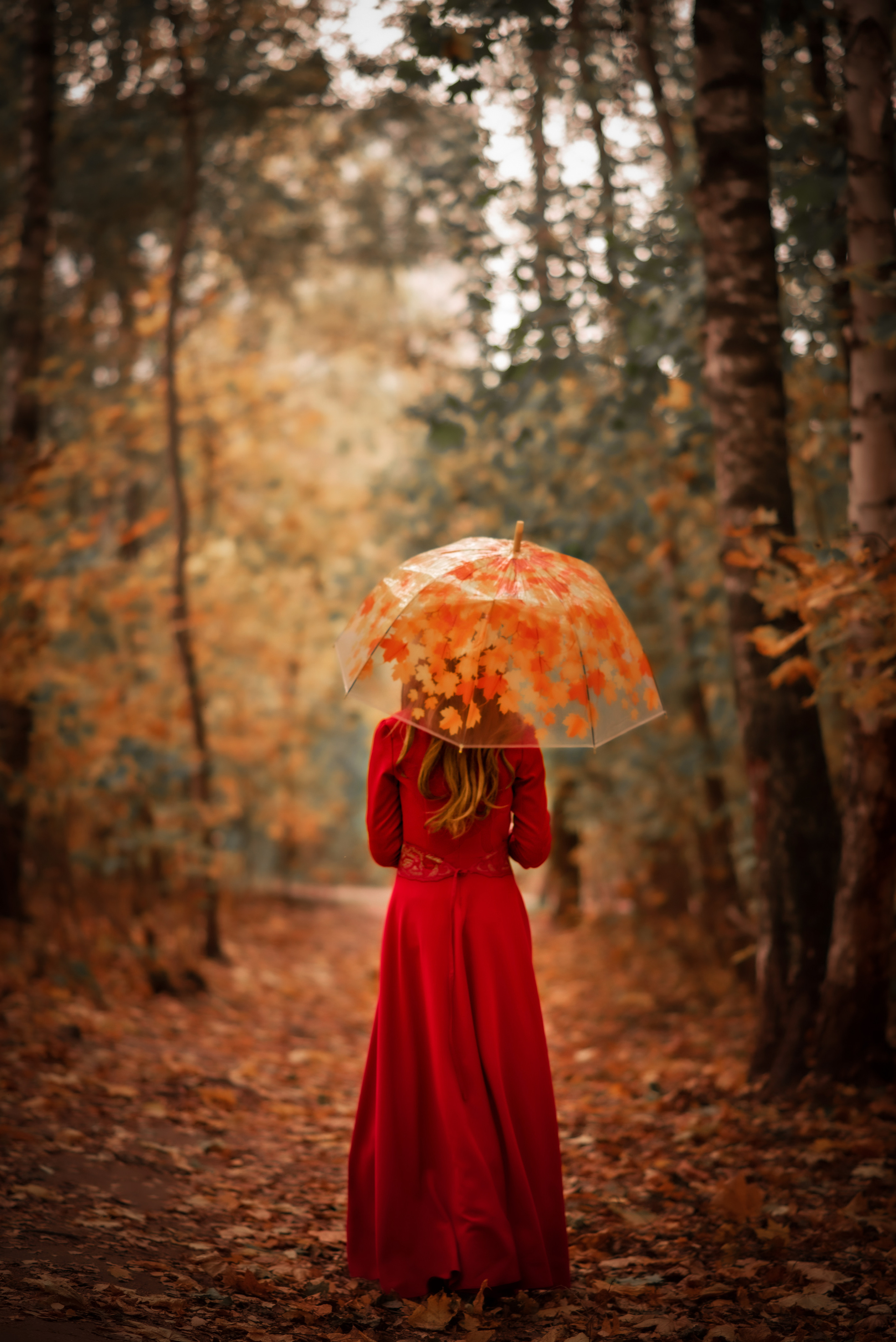 Осень прекрасна. Анна Боровикова, фотограф Пушкино