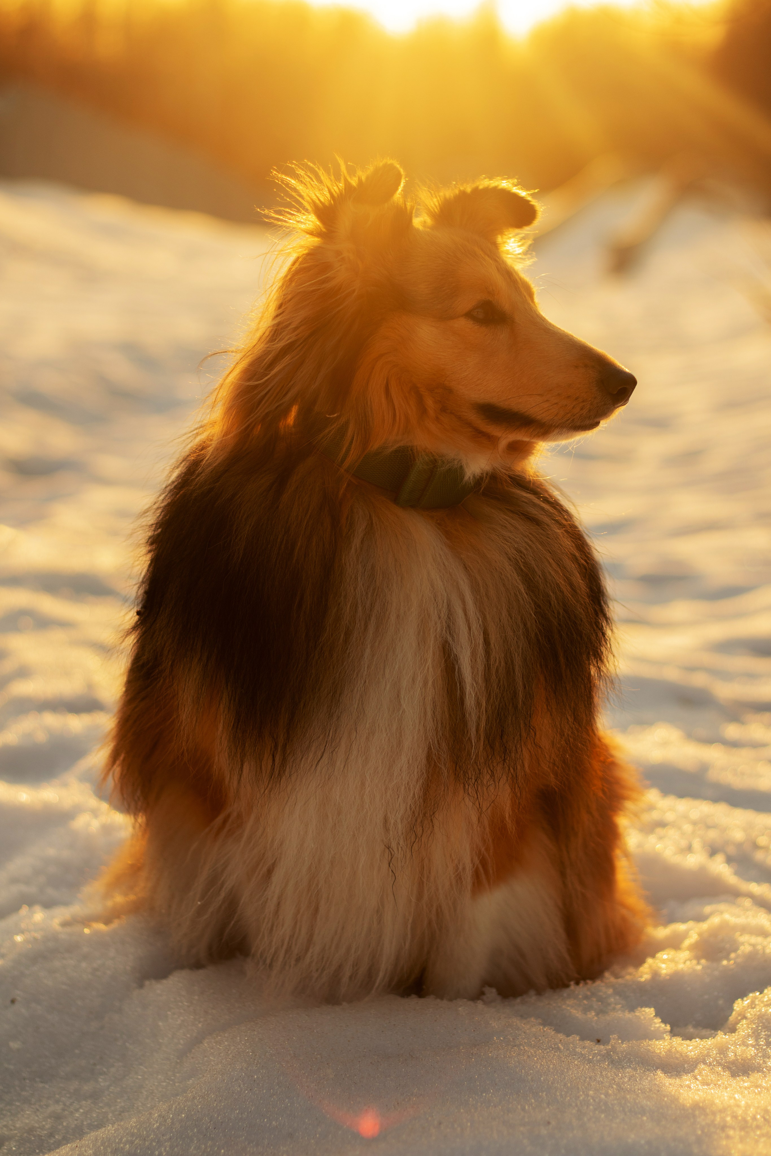 Катя Попова|ЛайфСтайл фотограф