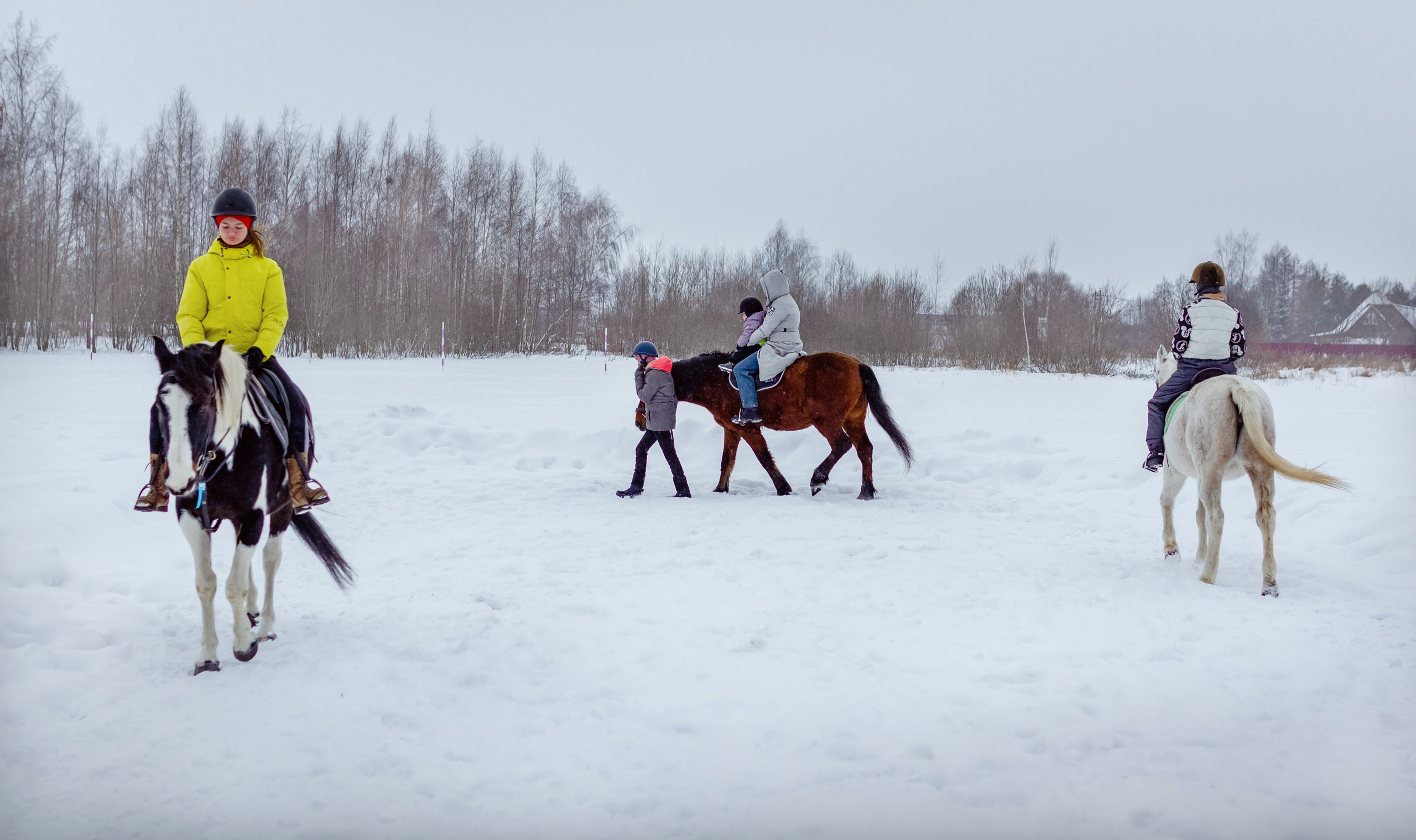 Фотосессия в конном клубе