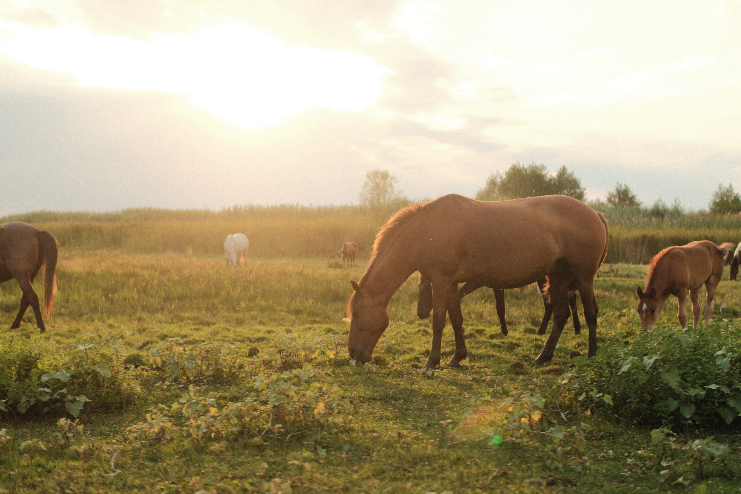 Внезапная фотосессия. Фотограф/Видеограф из Саратова