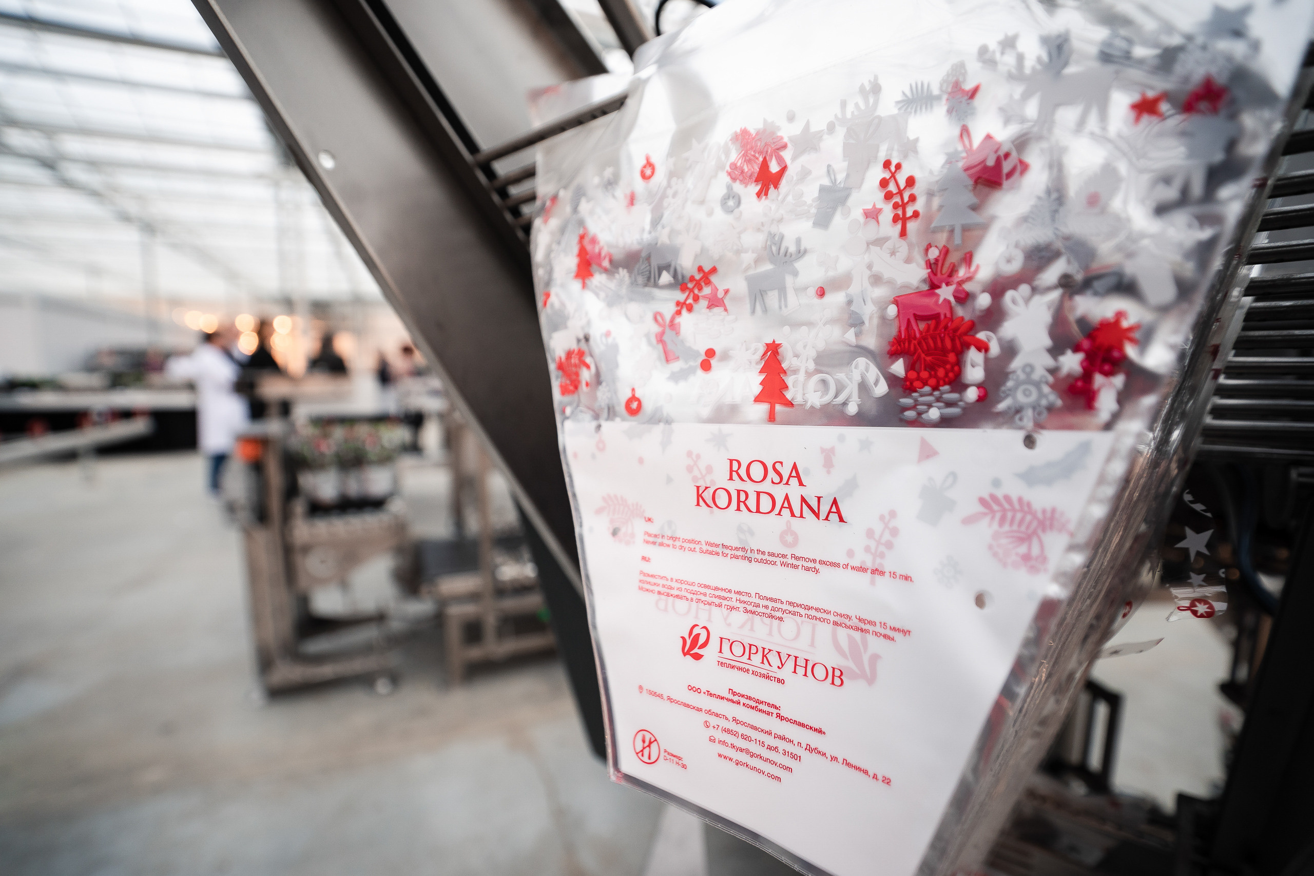 Открытие теплицы в тепличном комбинате Ярославский. Репортажный фотограф Сергей Сажин г. Ярославль