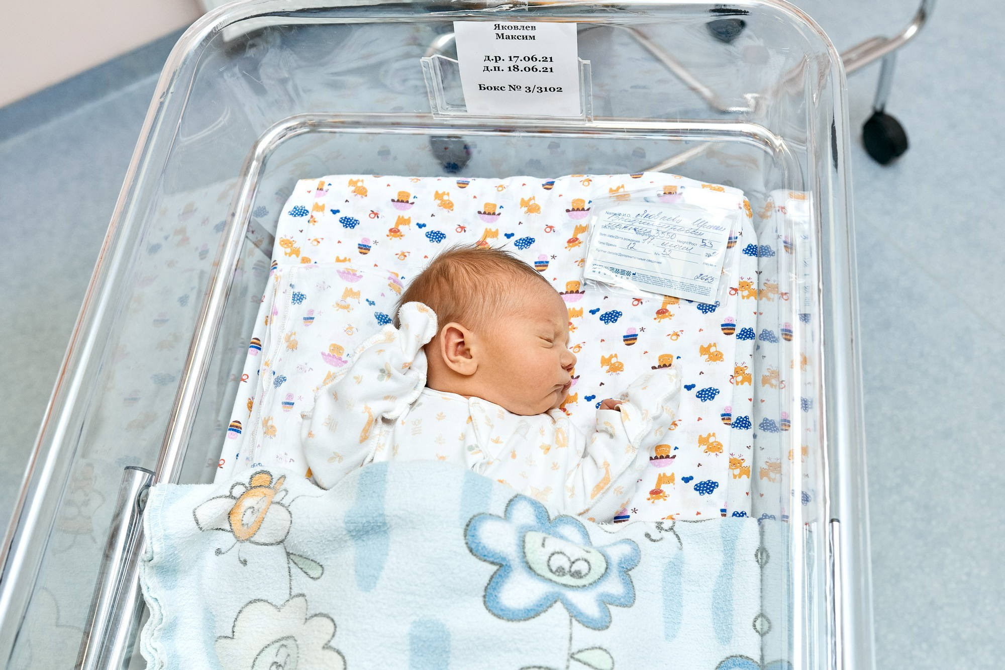 Фотограф на выписку в Москве, заказать услуги фотосъёмки — Цены и стоимость услуг профессионального фотографа для фотосессии выписки