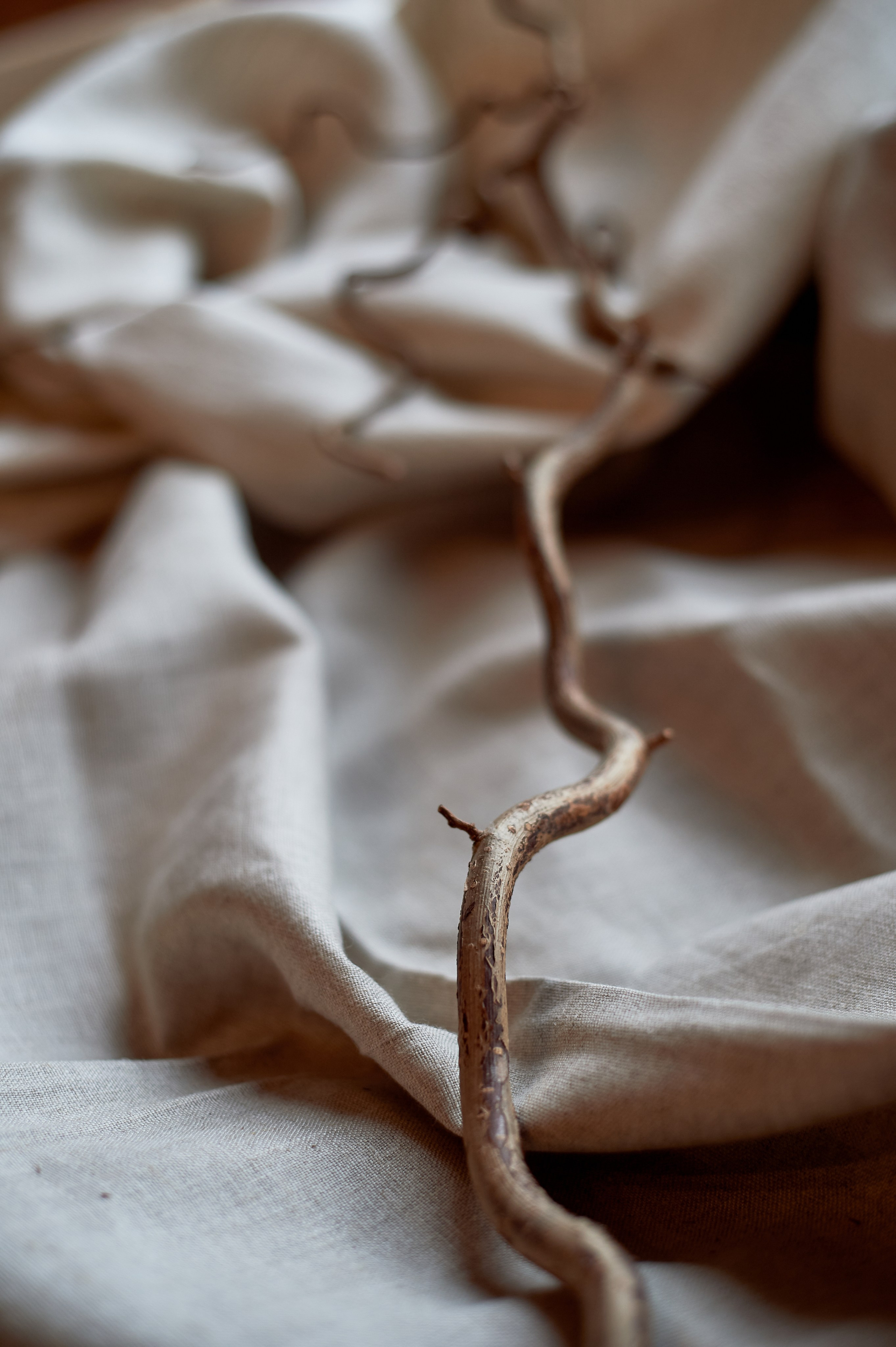 Творческая предметная фотосессия. Фотограф, психолог в Москве, Жуковском, Раменском Галина Майлер