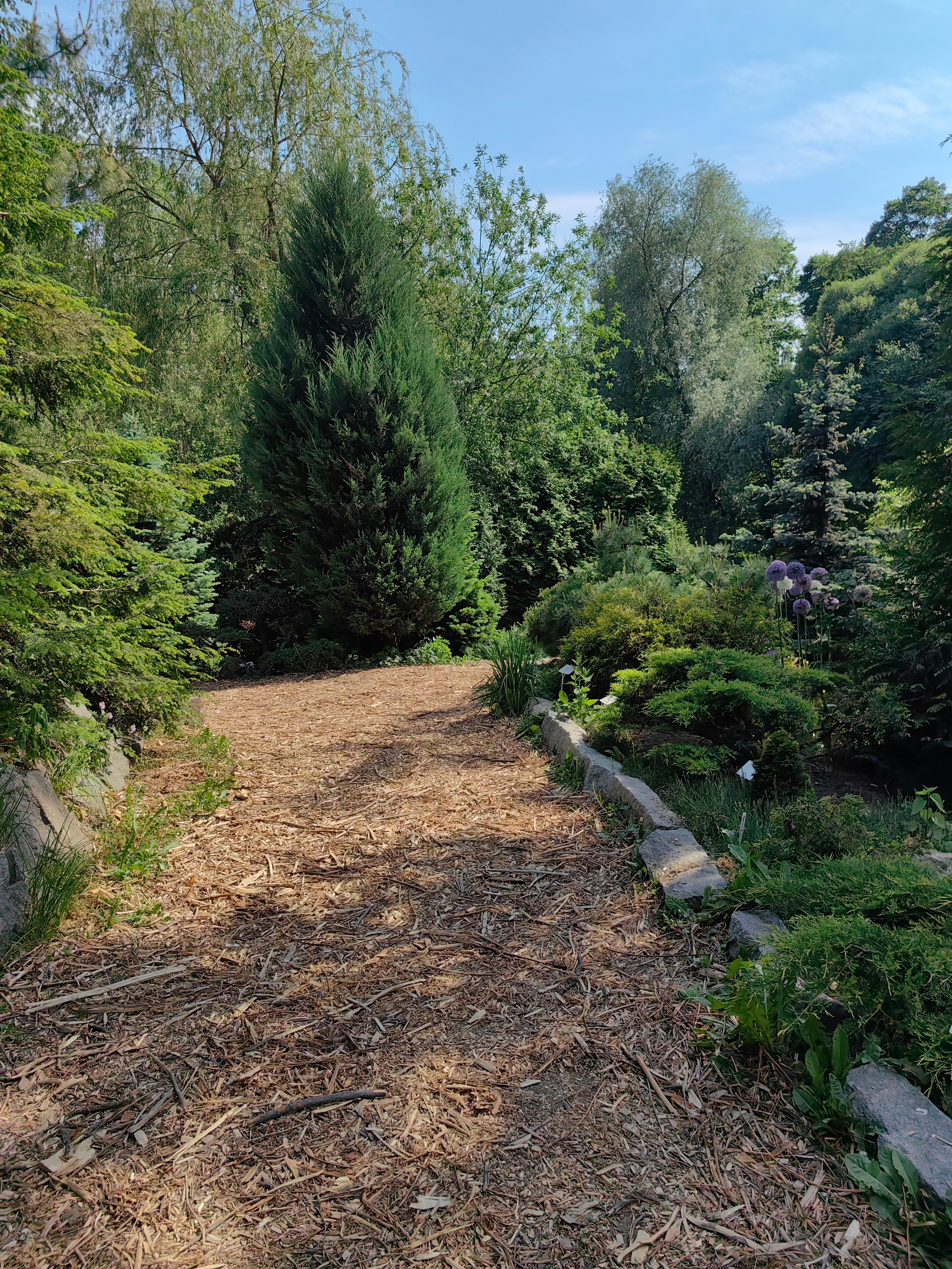 Парк АПТЕКАРСКИЙ ОГОРОД обзор. Фотограф в Москве и Московской области (Ю-В) Олеся Макарова