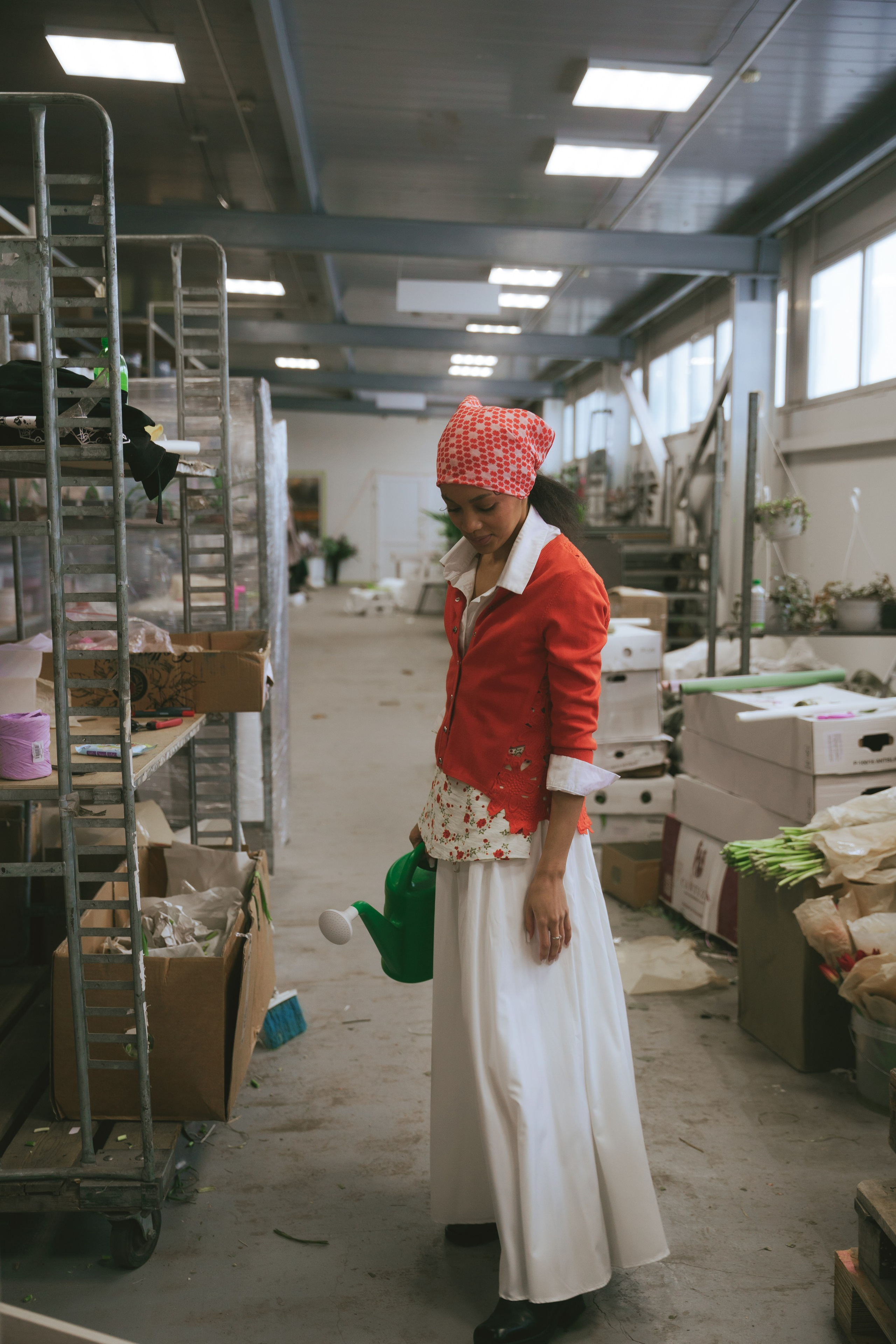 Эстетика природы и урбанистики: фотосъемка в цветочной базе Архангельска