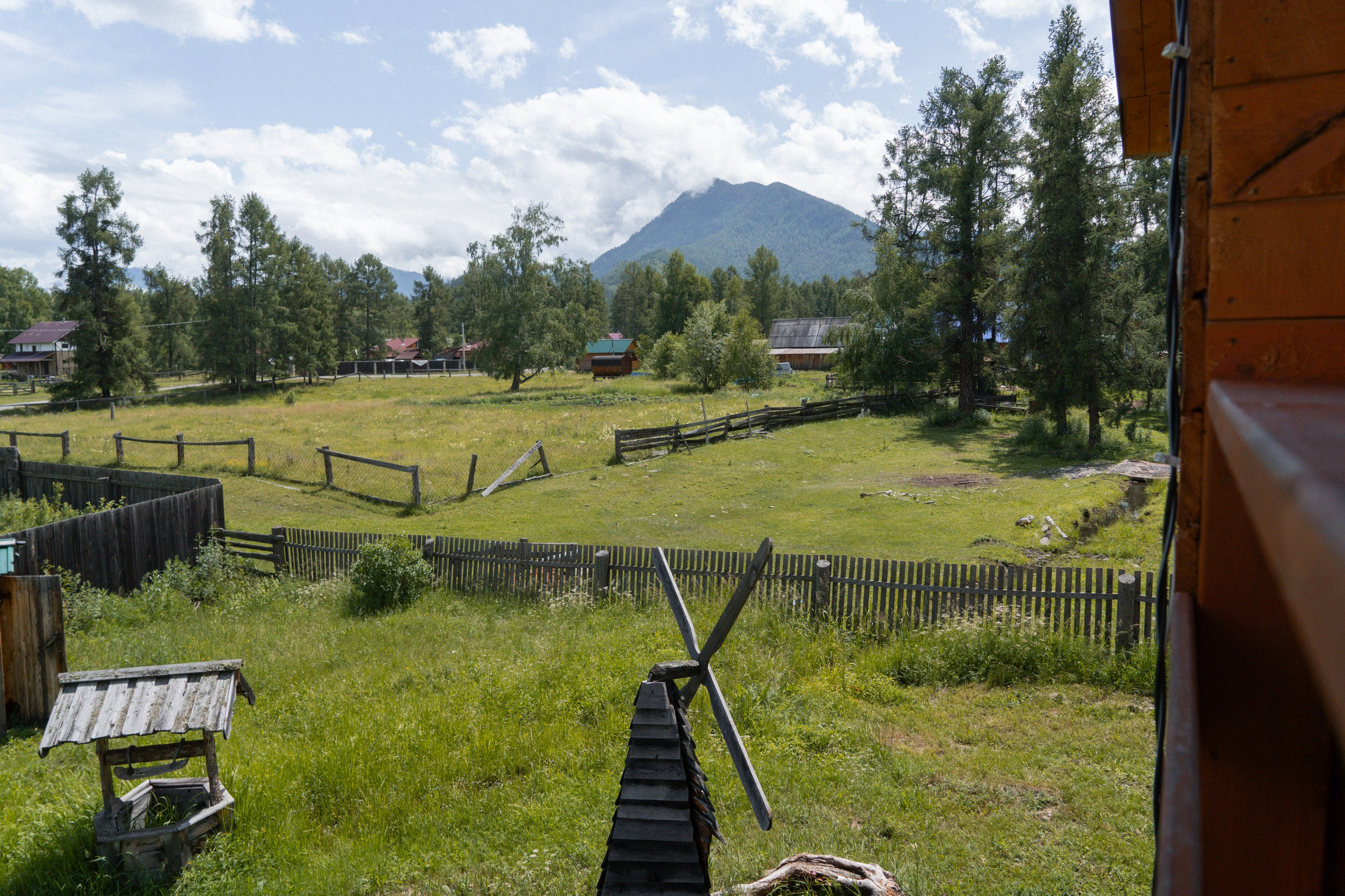 Алтай 2025. Лиза Фирстова