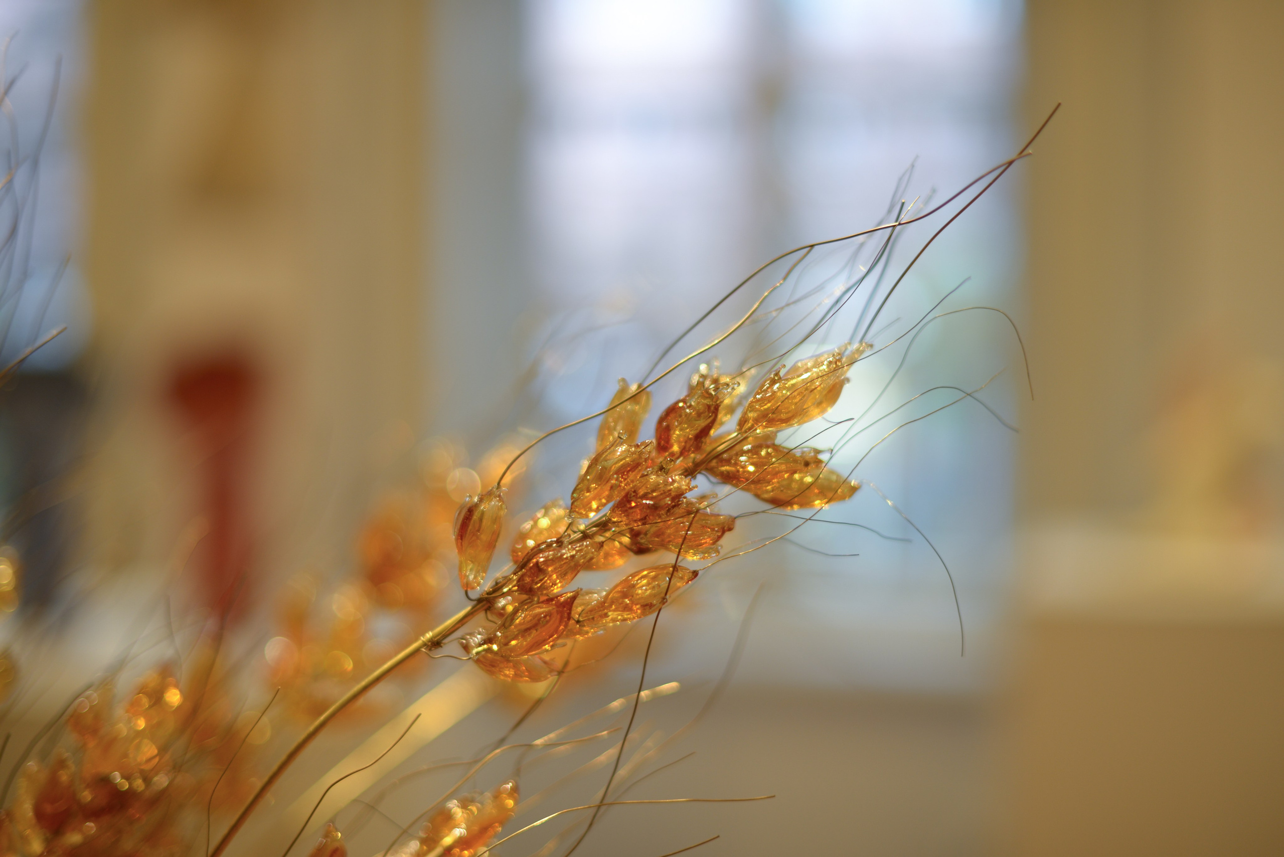 Victoria Radjevna Репортажный Фотограф — Видеограф Москва • Санкт-Петербург