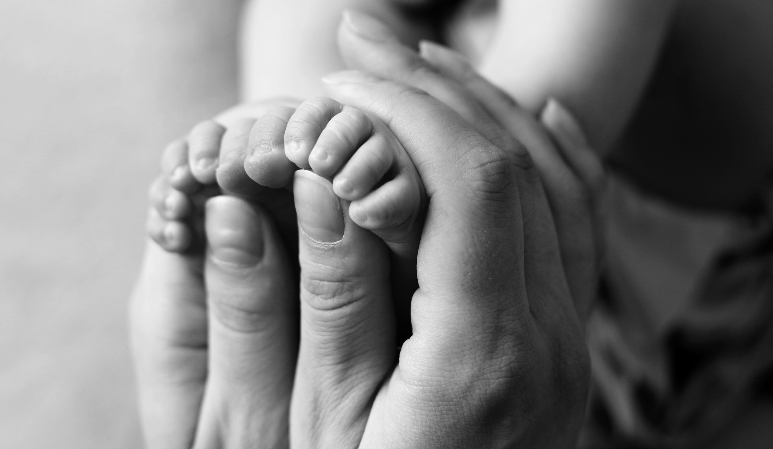 Новорожденные. Нина Зеленева фотограф новорожденных