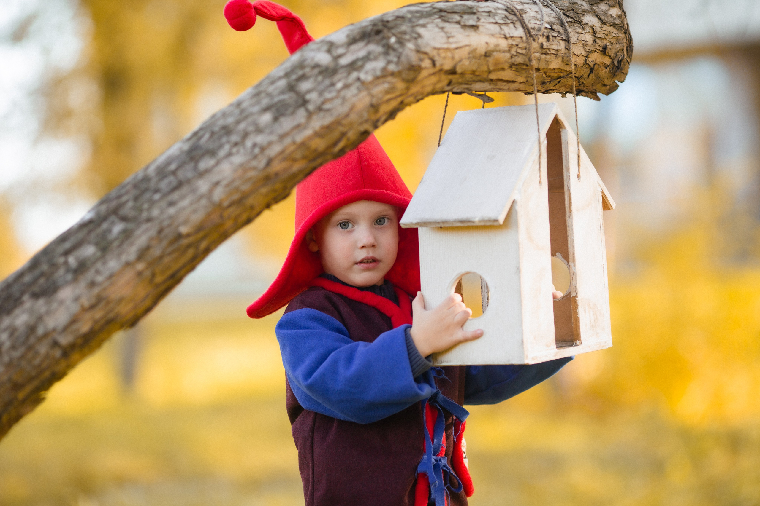 Лесные гномы