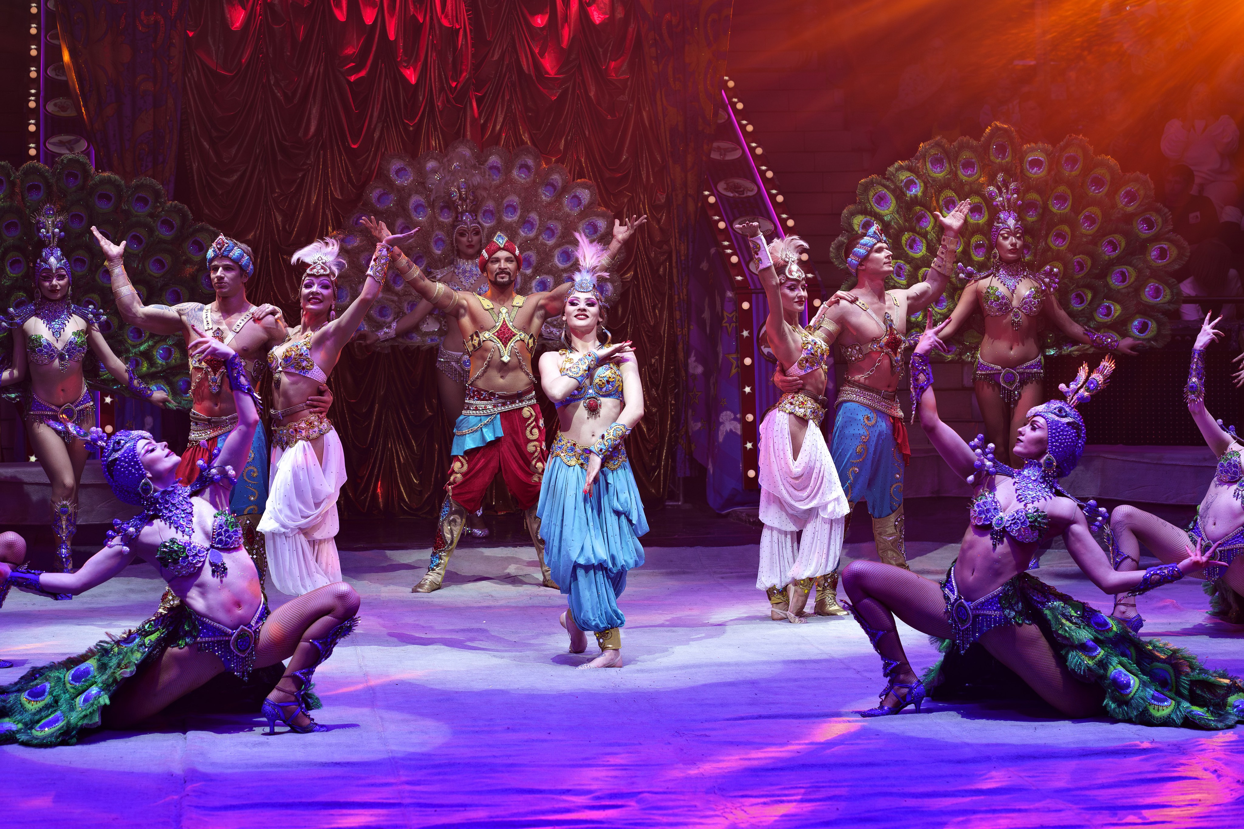 «Королевский цирк Гии Эрадзе»