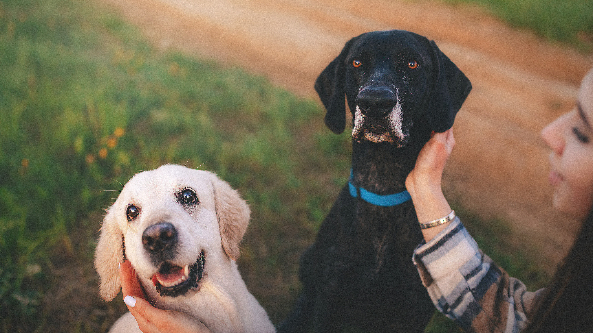 Фотограф-анималист • love-story • Санкт-Петербург