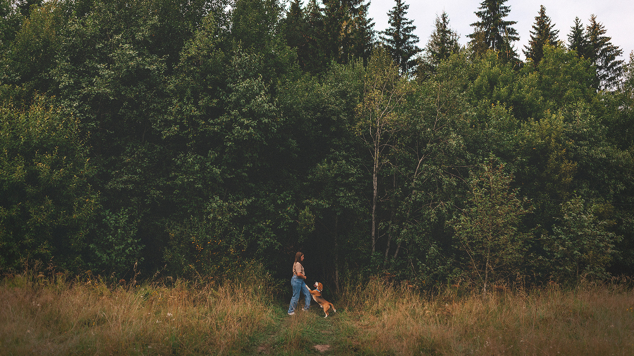Фотограф-анималист • love-story • Санкт-Петербург