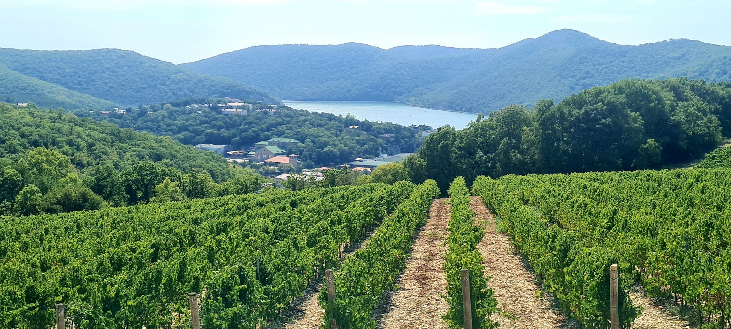 Программа «СЕРДЦЕ АБРАУ» из Анапы