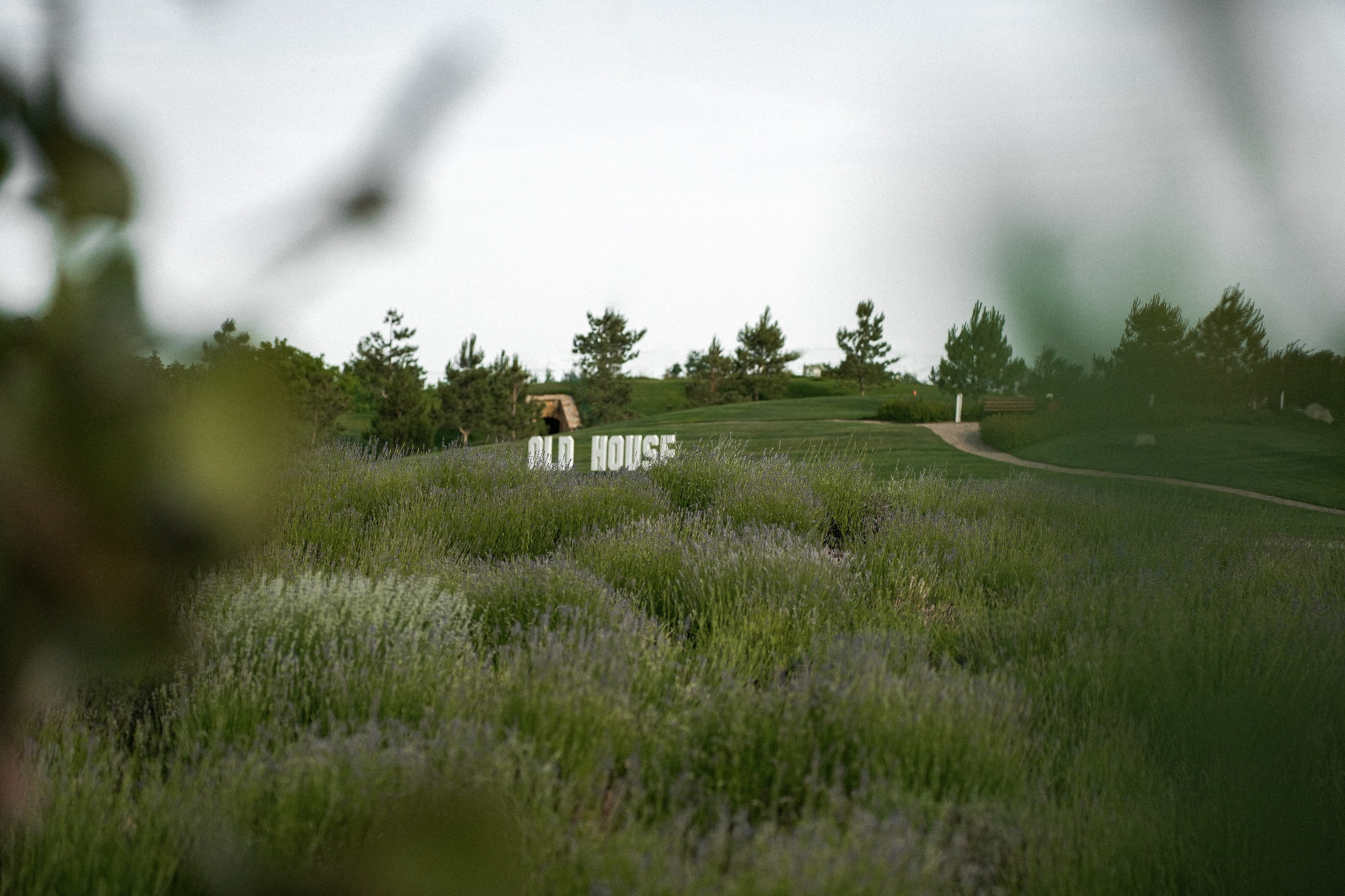Свадебный фотограф и видеограф в Ростове-на-Дону. Максим и Наталья Лебедевы
