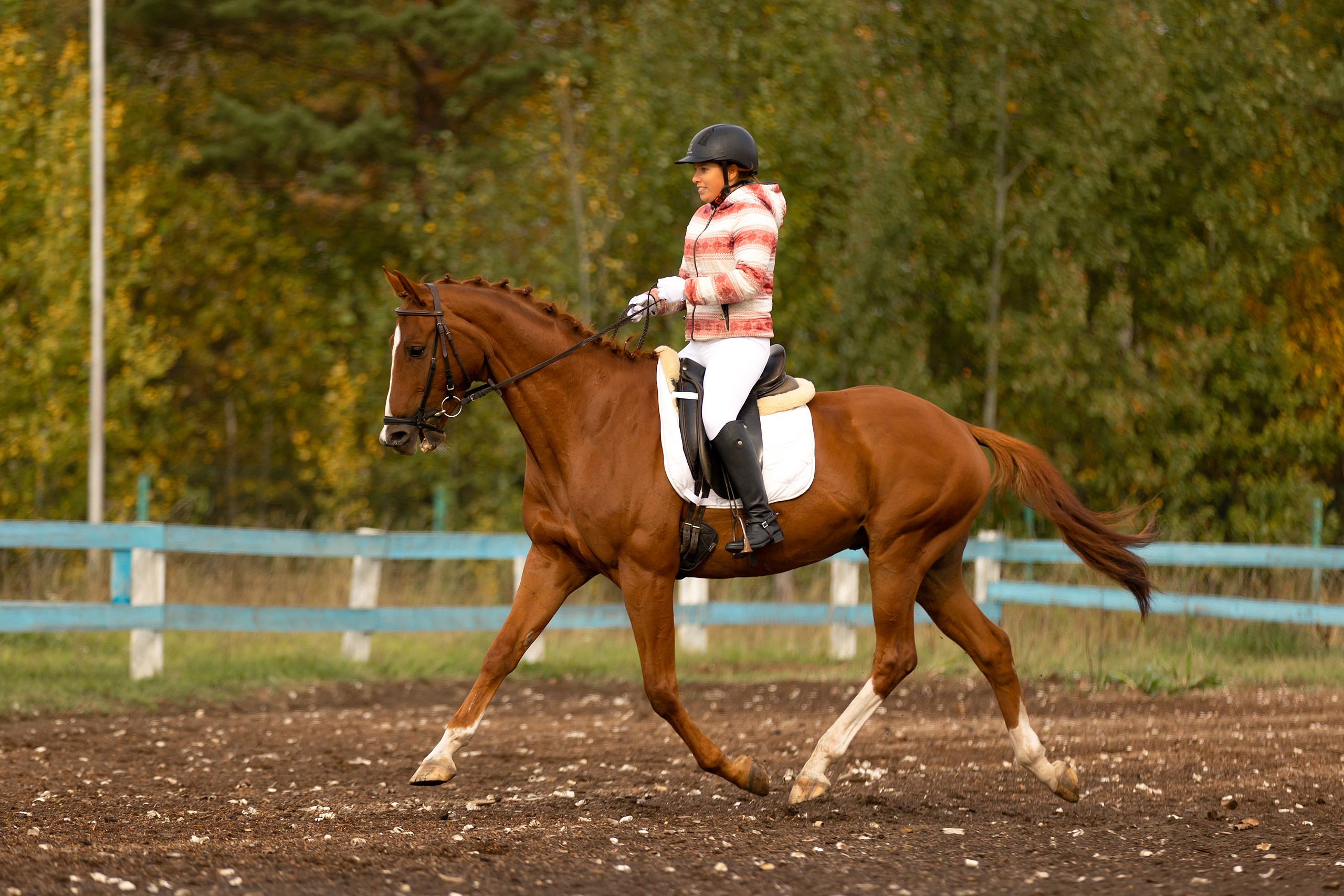 Соревнования по конному спорту. Конный фотограф Валынкина Лера