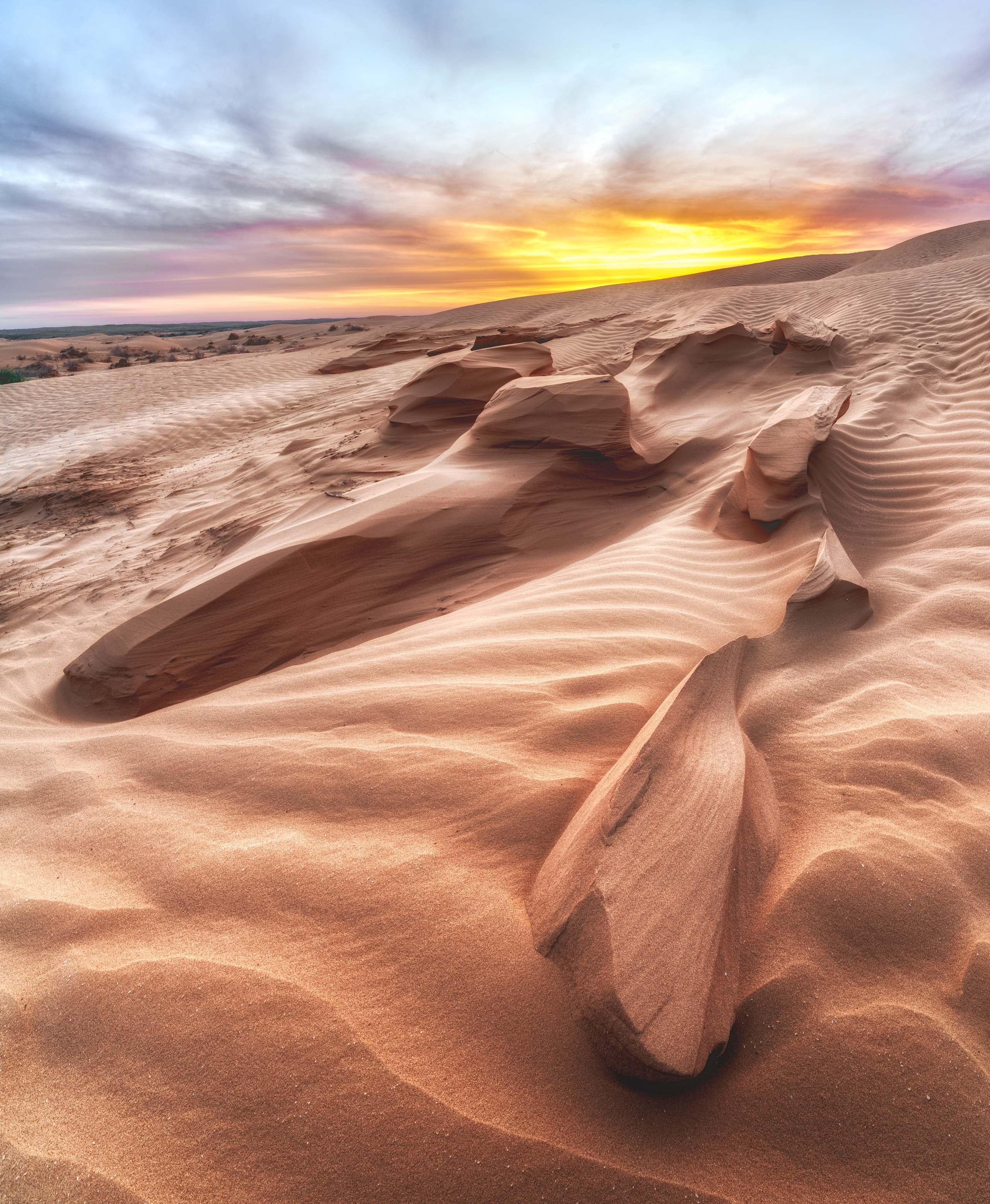 Барханы и лотосы. Июль–Август