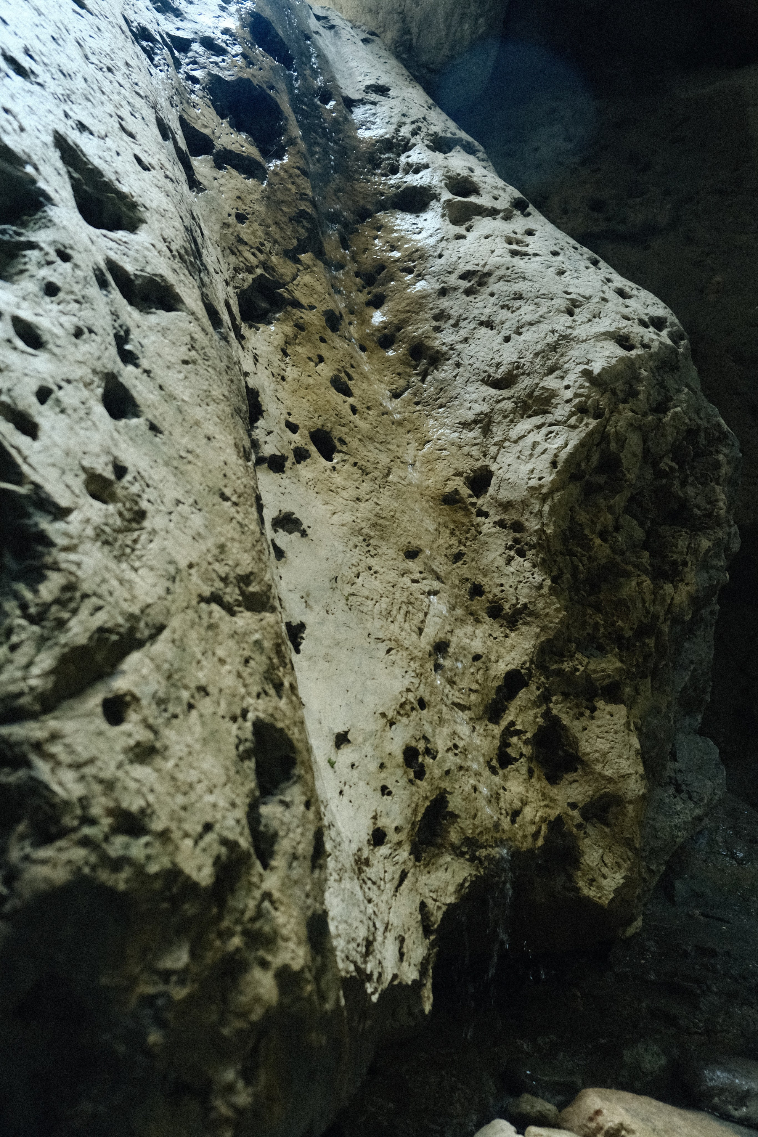 *photofon by izma. Izma photos