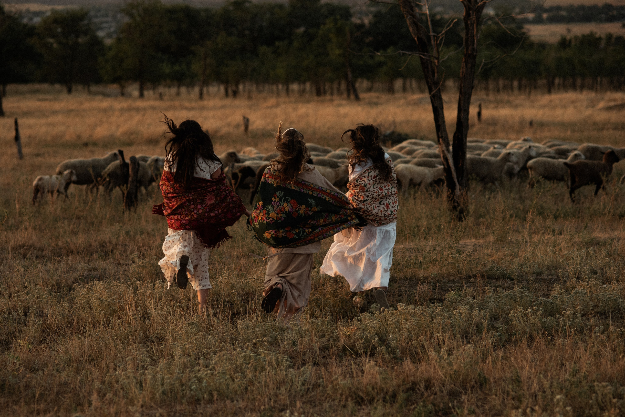 Пастухи и пастушки. Или ещё одна история о любви. Семейный и детский фотограф в Санкт-Петербурге Татьяна Дмитренко