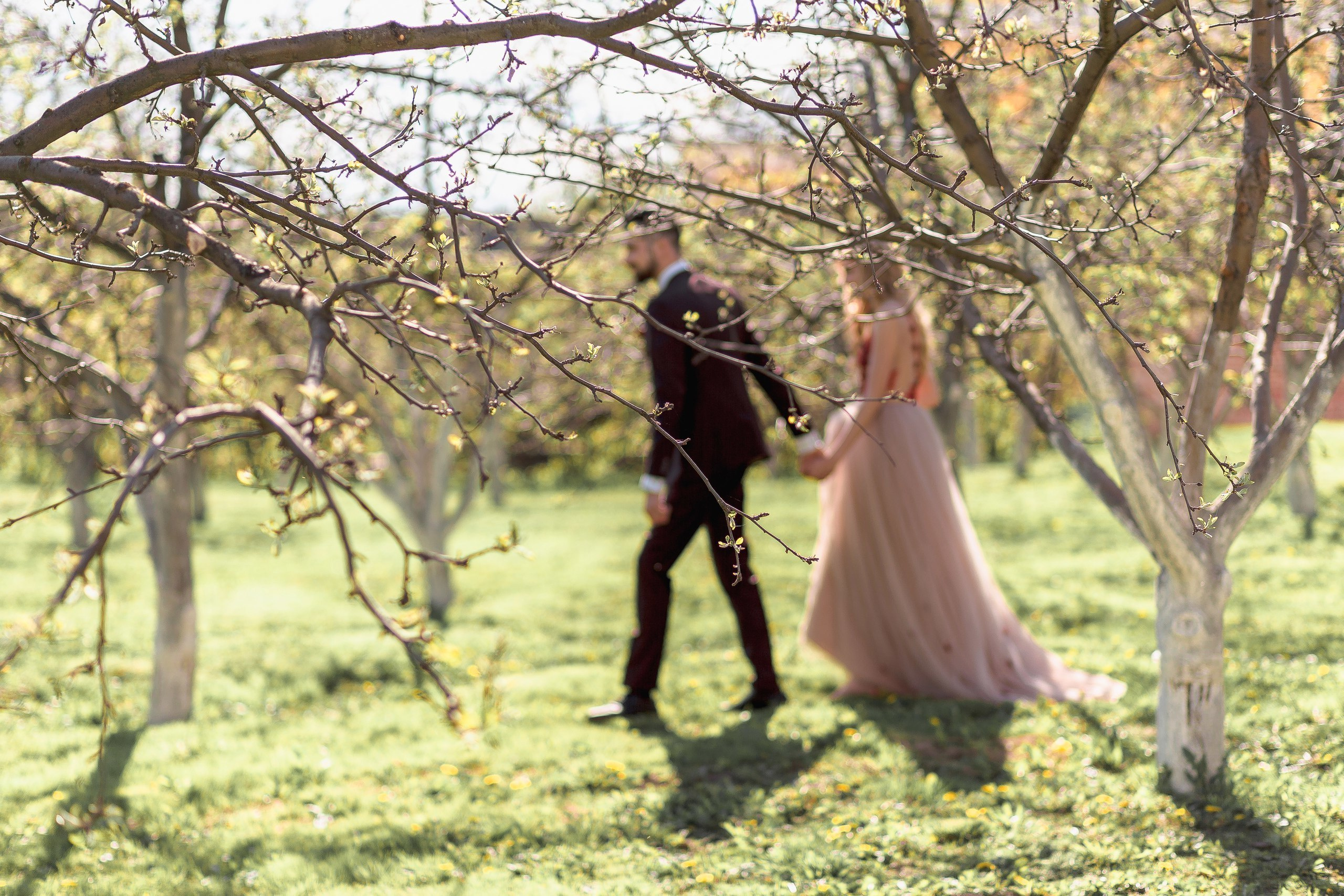 Волшебство в Ростове. Свадебный и семейный фотограф Вадим Великоиваненко
