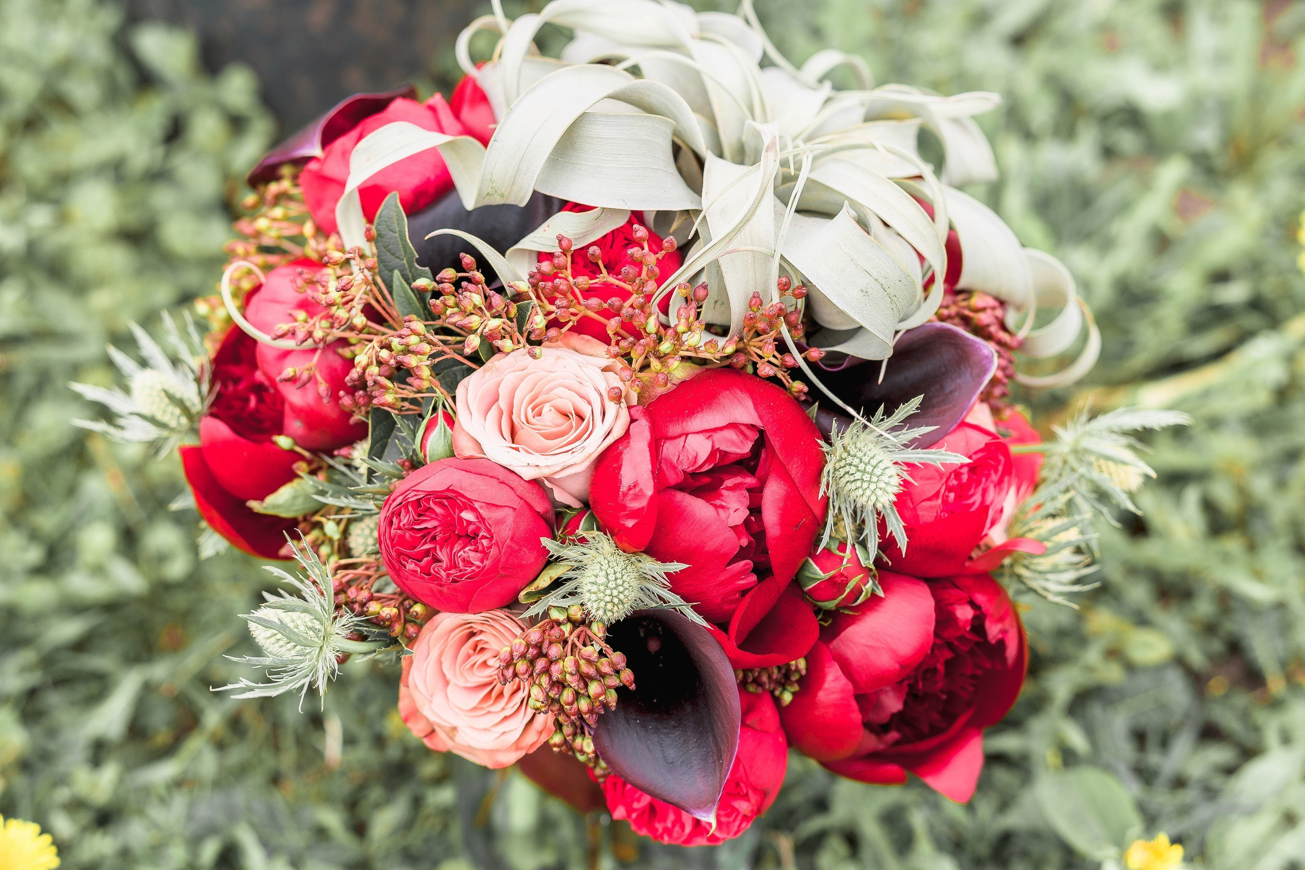 Волшебство в Ростове. Свадебный и семейный фотограф Вадим Великоиваненко
