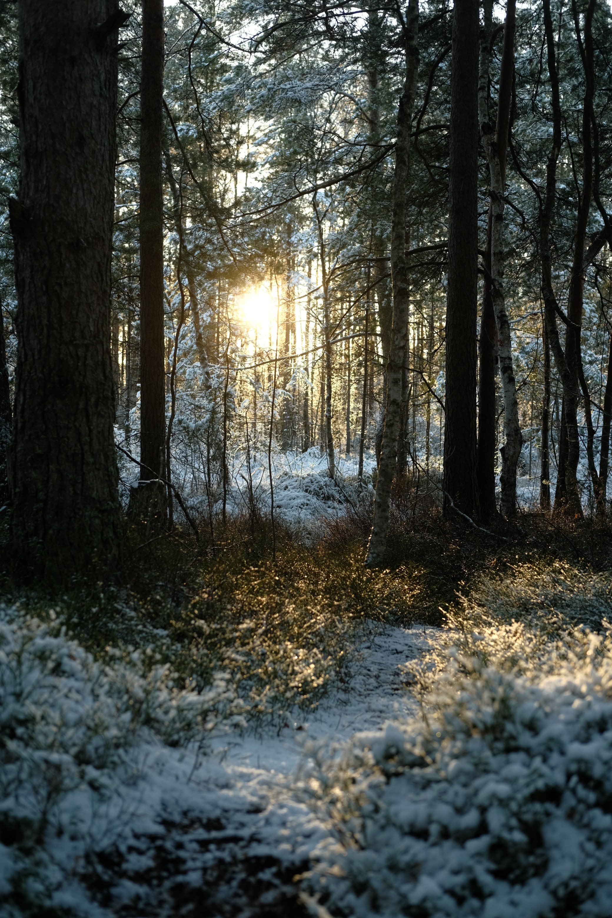 Фотограф Сергей Красников