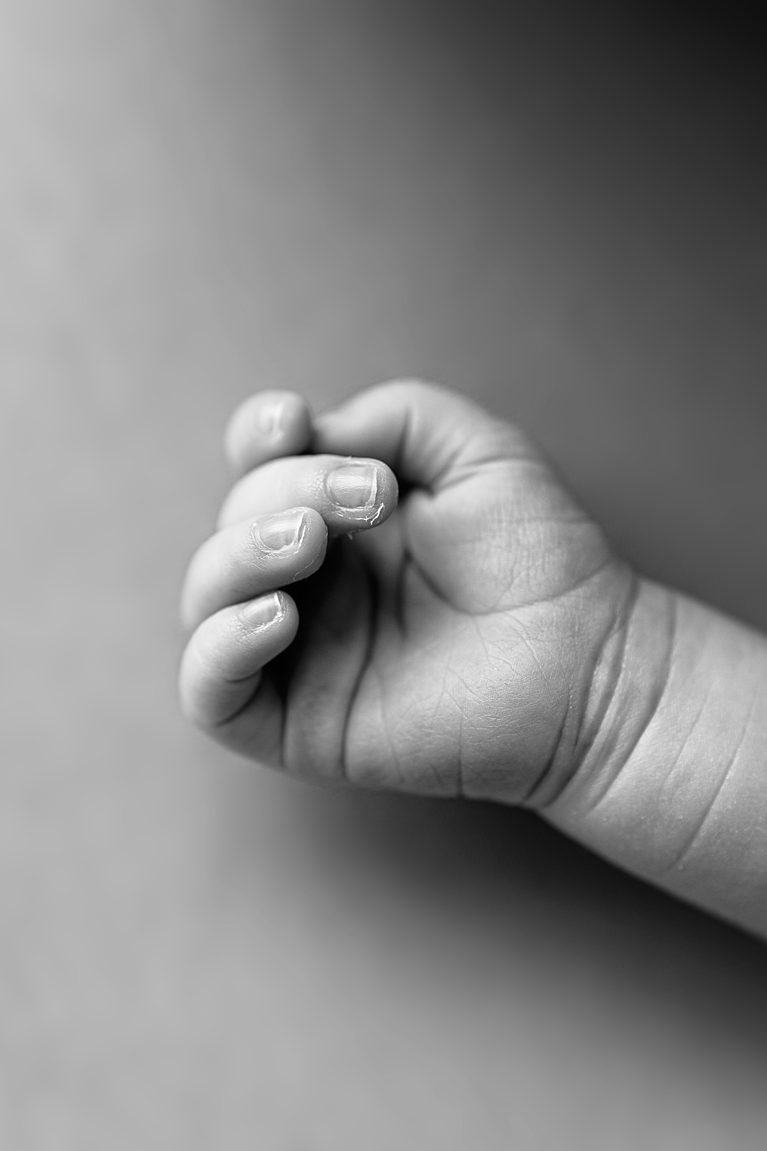 Макрокадры. Детский фотограф новорождённых в Барнауле Ксения Хомкина