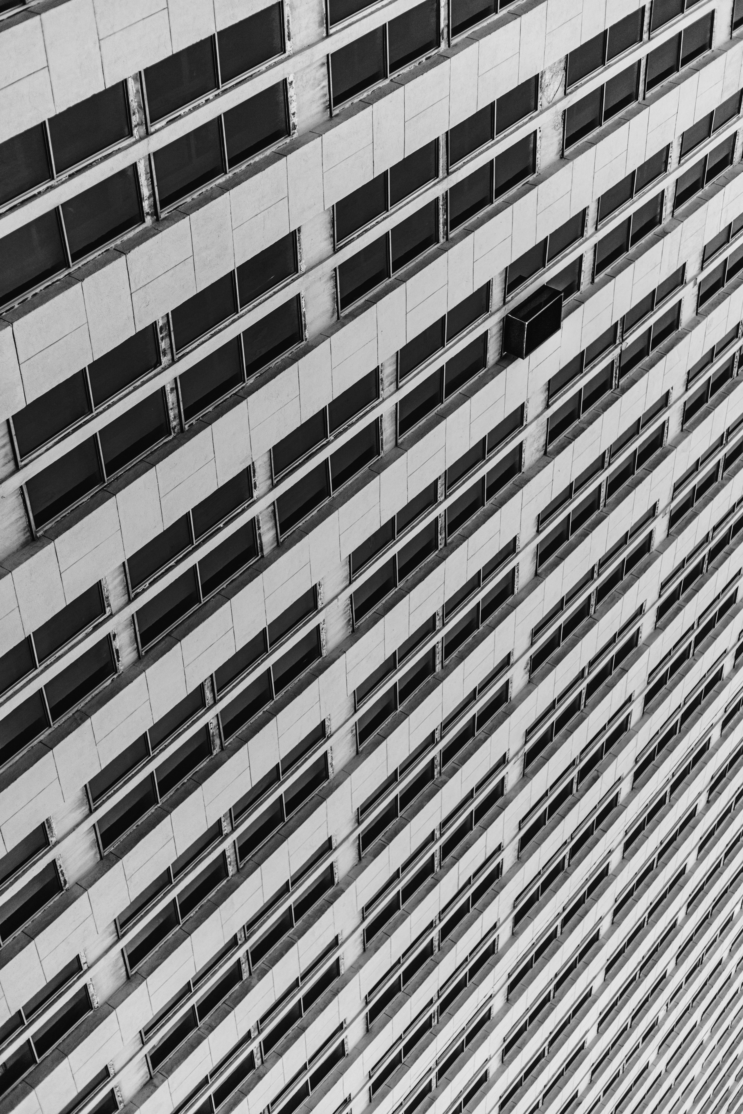 Постеры. Roycoreroy