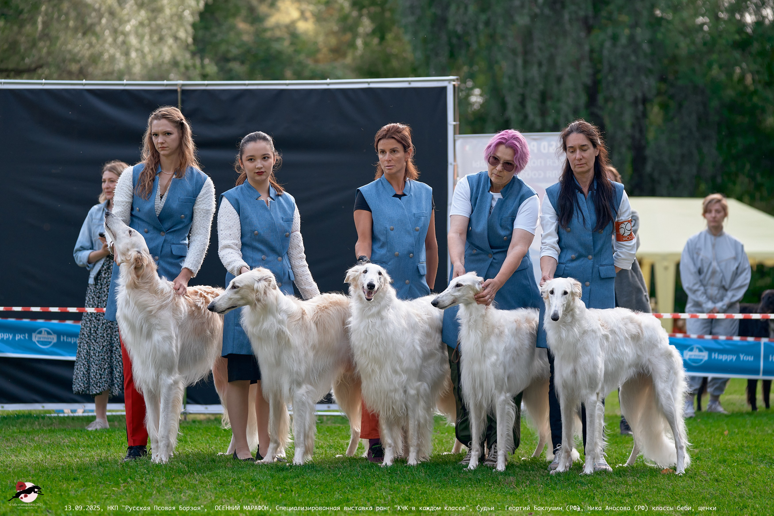 ОСЕННИЙ МАРАФОН | Специализированная выставка породы Русская Псовая Борзая ранг "КЧК в каждом классе"