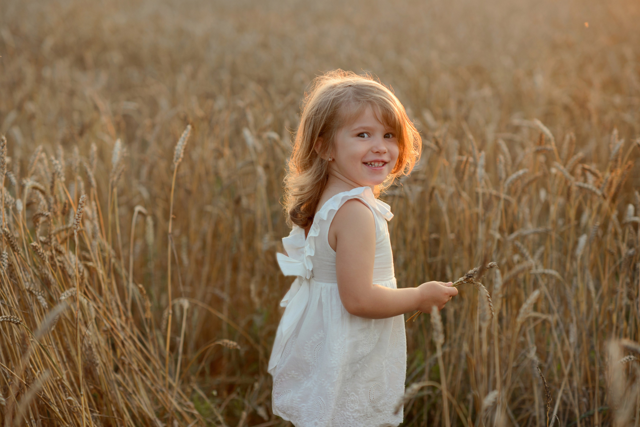 Photo shoot, Little girl in a wheat field at sunset