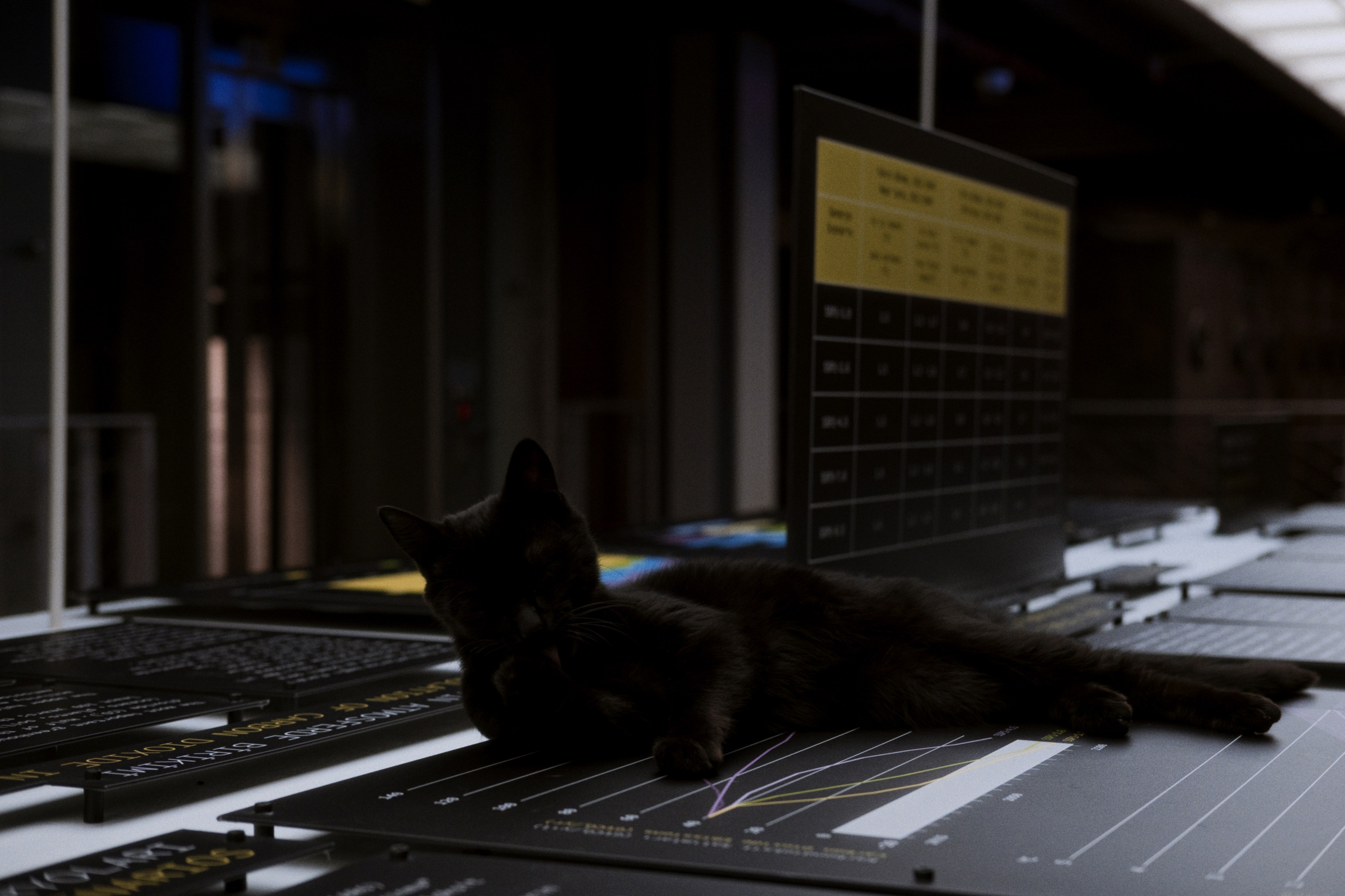 Gazhane Museum / Istanbul, Türkey AW26. Фотограф Юрин Евгений