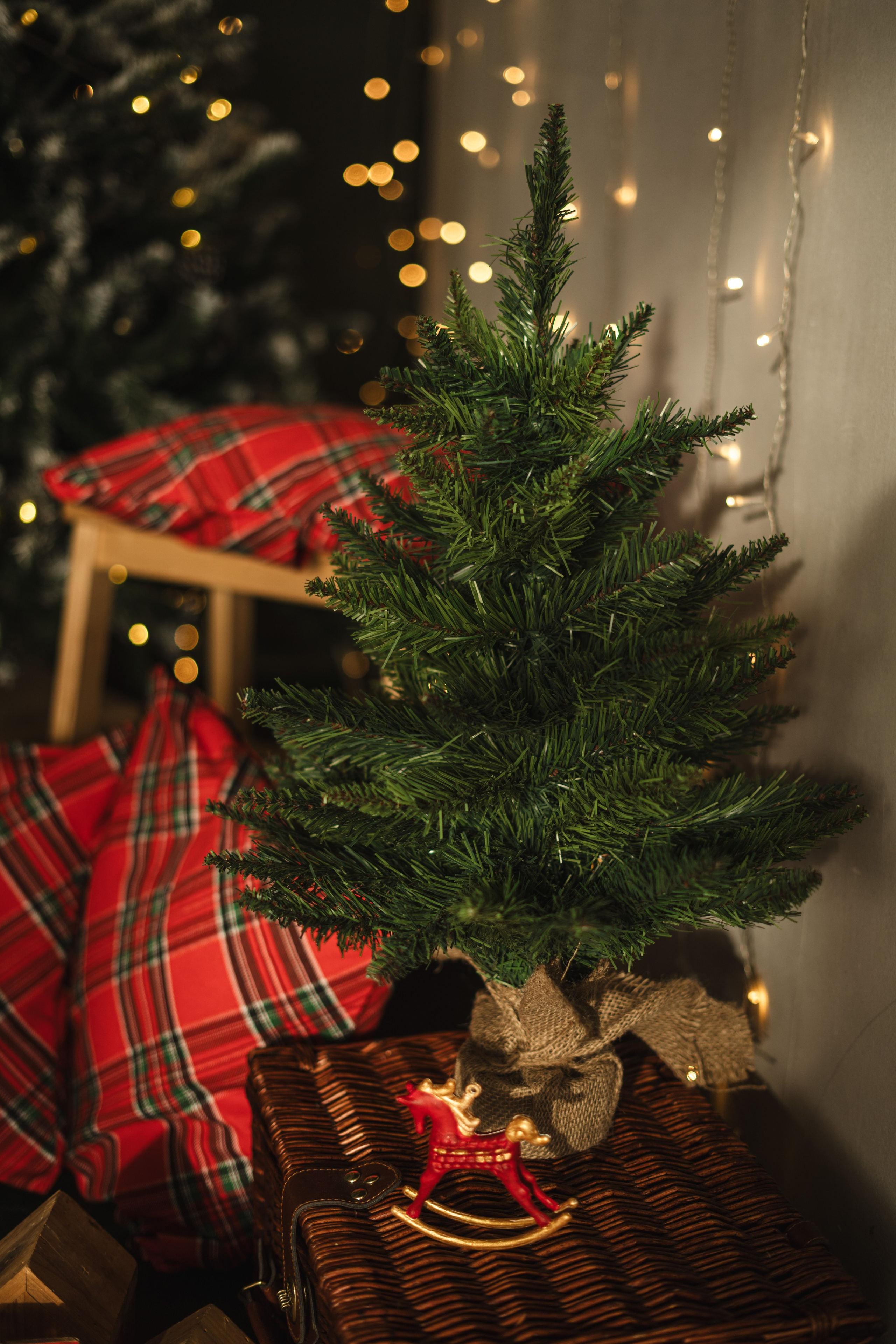 Фотостудия Импульс Новый год 2026 зал Life Лайф