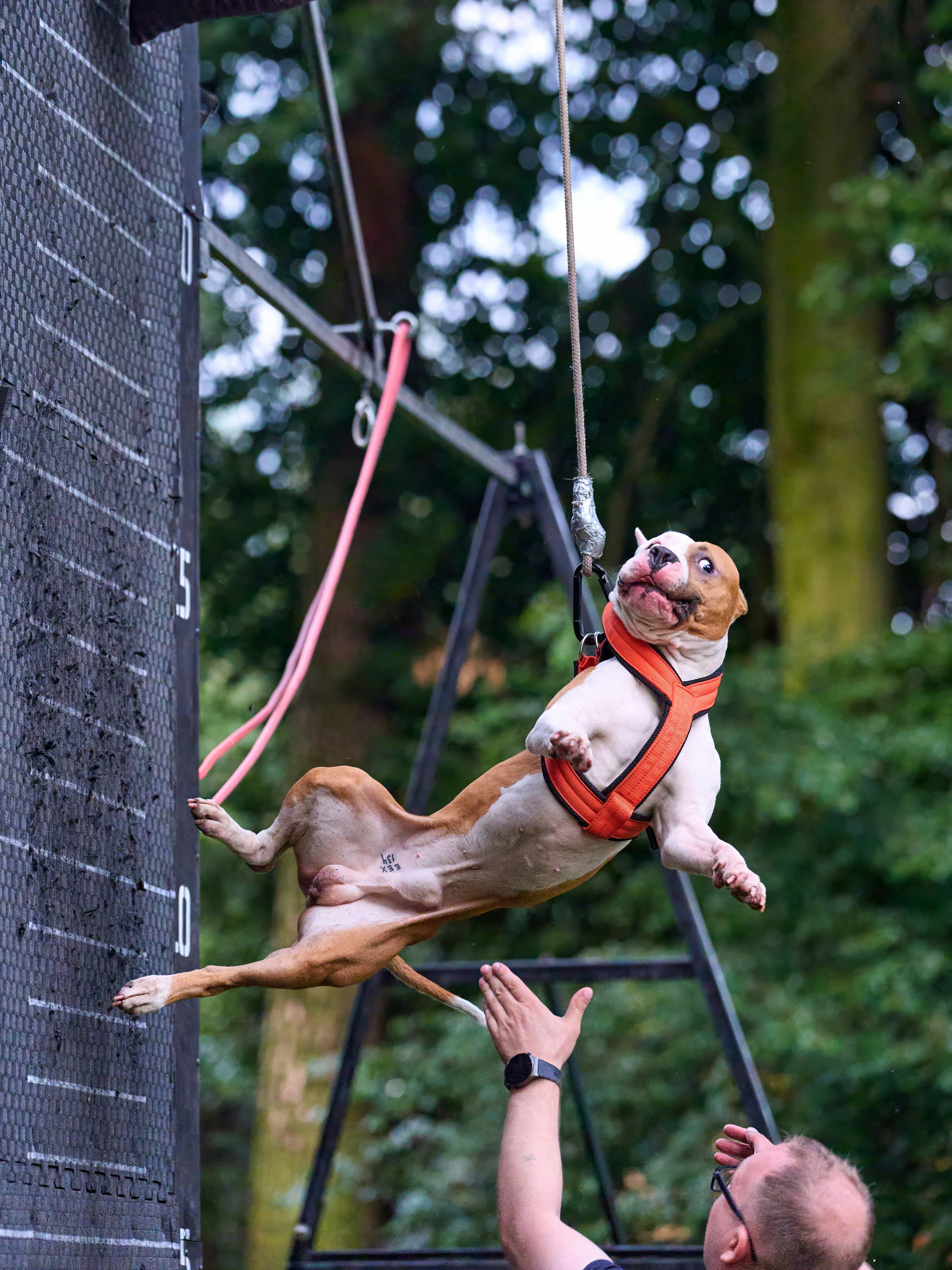 Jump'n'Gym JUMP! — 2024. Фотограф-анималист Михаил Манухин